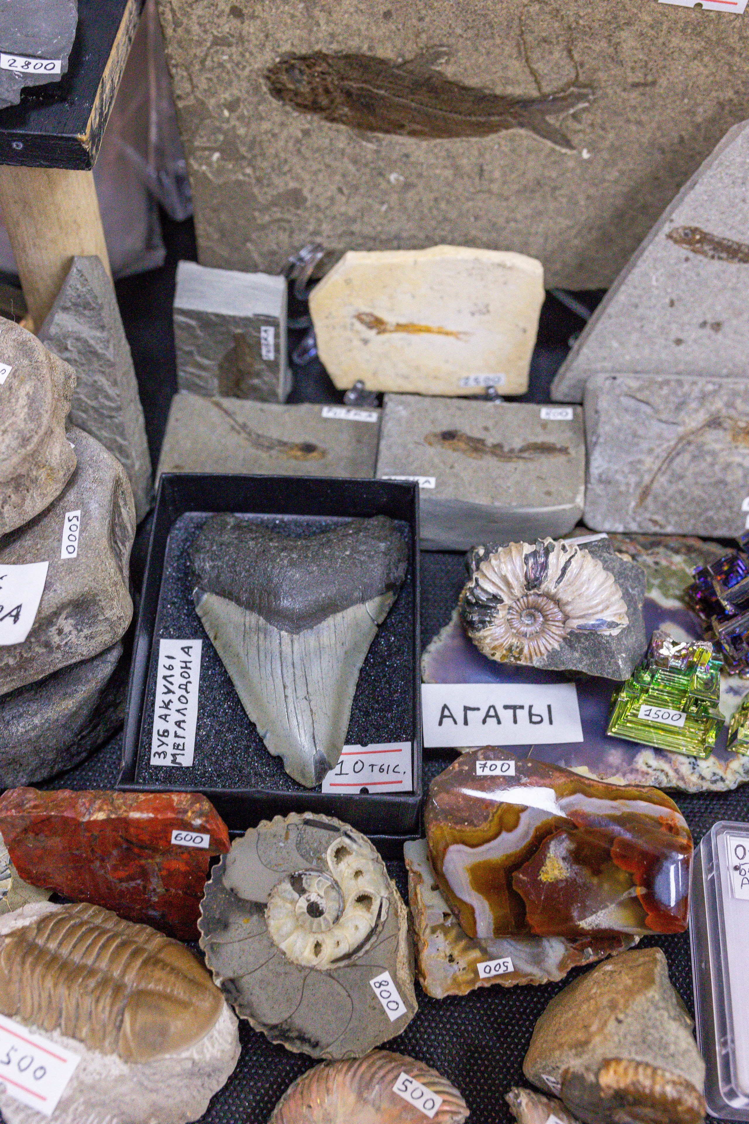 Монстериум апрель 2025. Александра Куликова фотограф, Москва