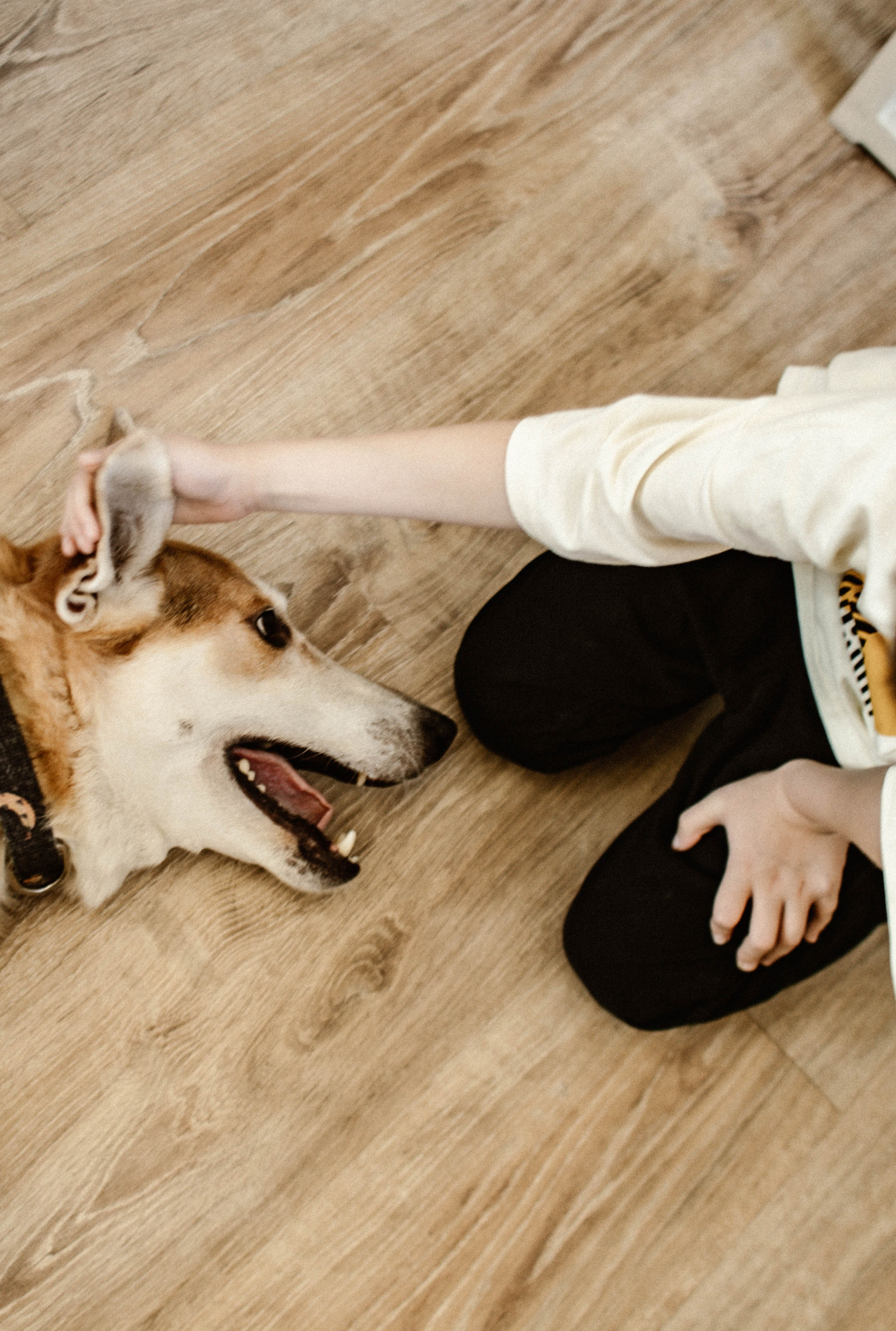 Миша. Матвей. Эмми. Фотограф в Нижнем Новгороде