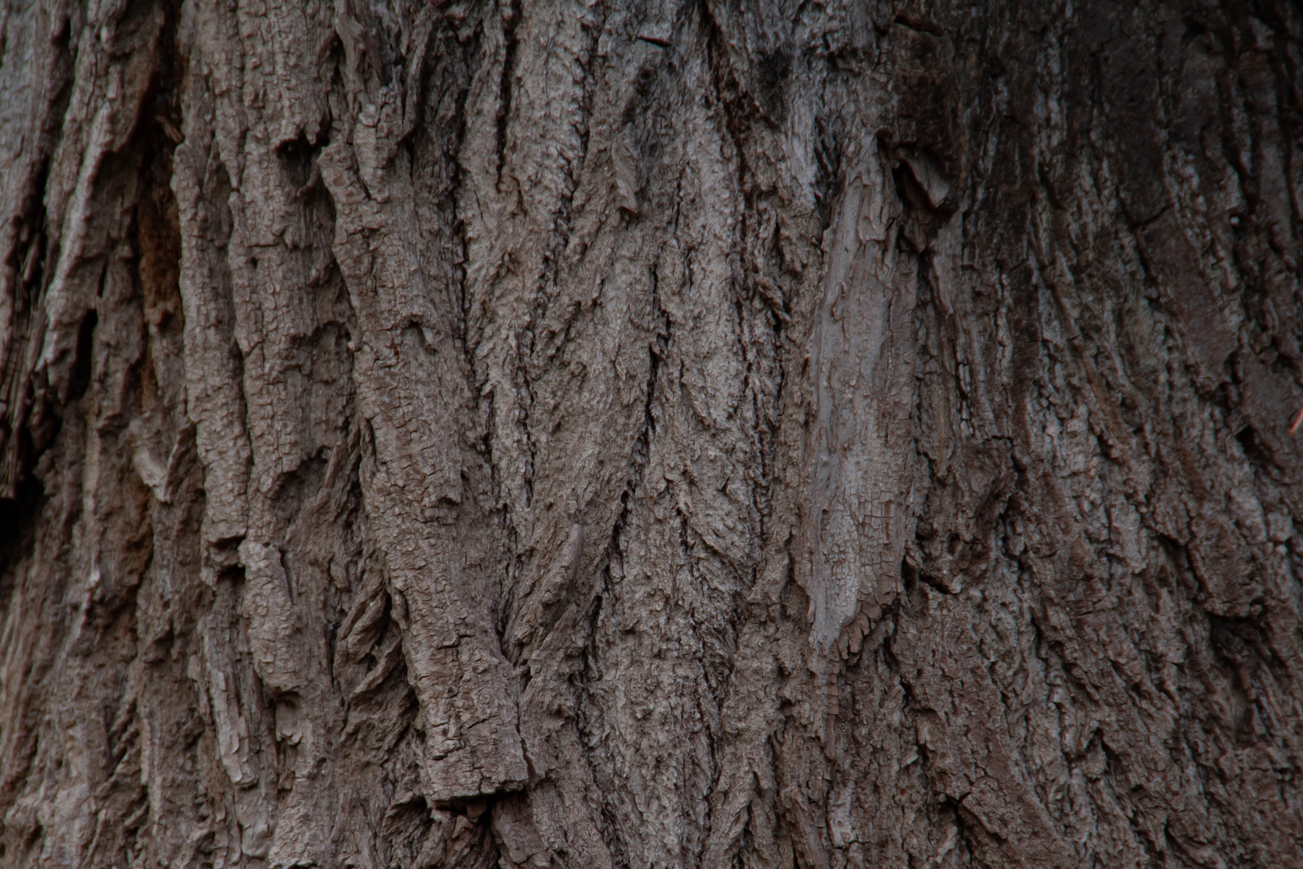 Архитектура