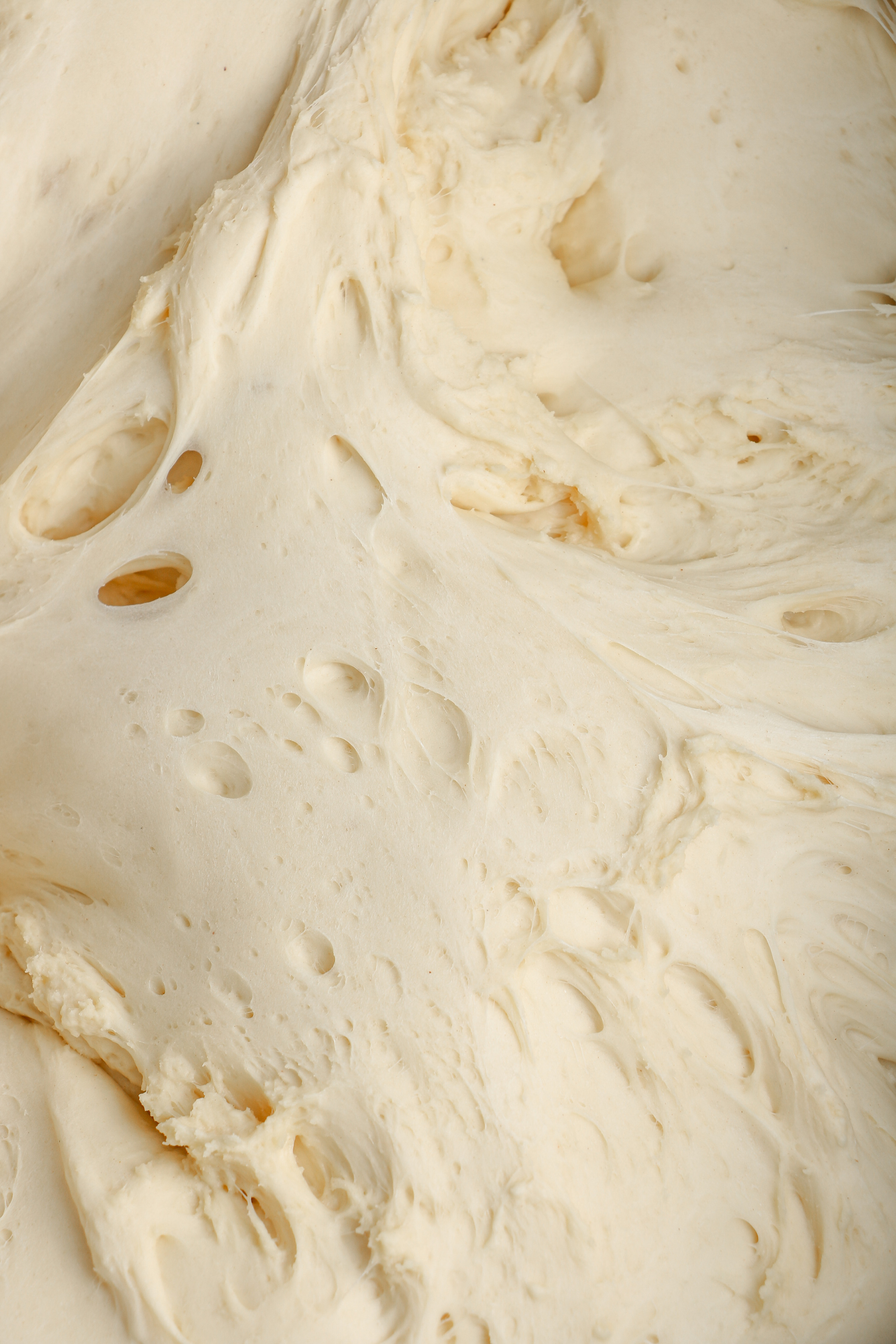 ВДНХ (Лев Бородинский). Контент-фотограф Калининград АНАСТАСИЯ ТКАЧЕВА