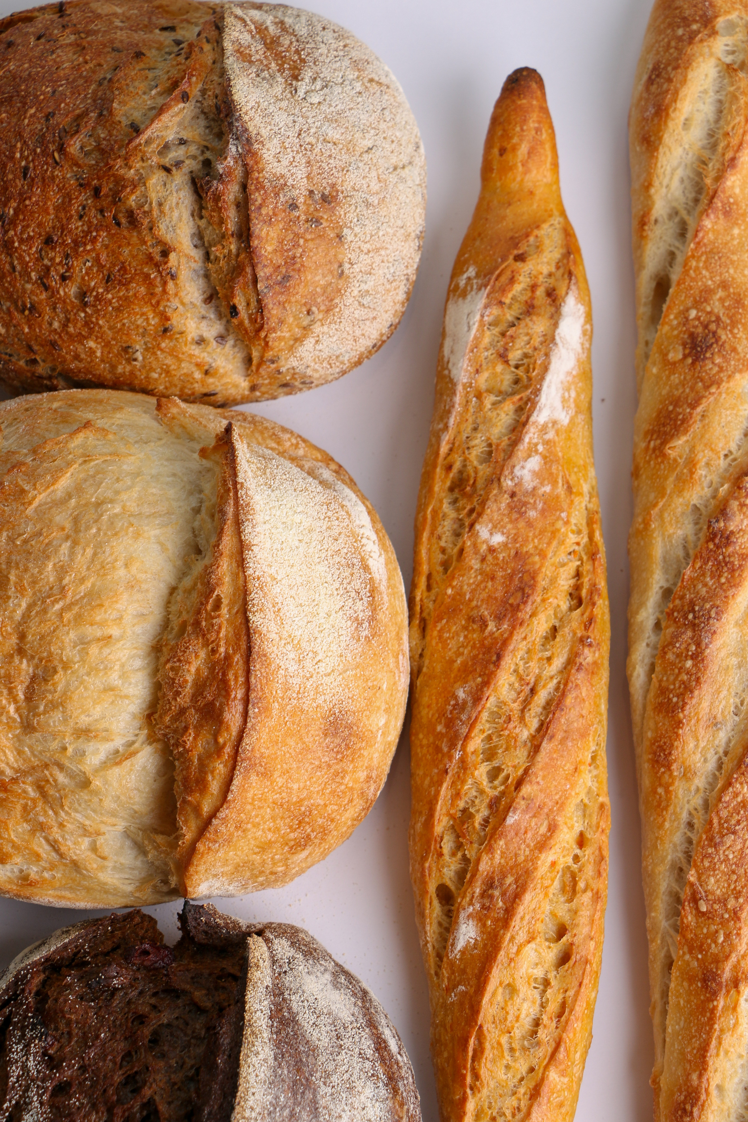 ВДНХ (Лев Бородинский). Контент-фотограф Калининград АНАСТАСИЯ ТКАЧЕВА