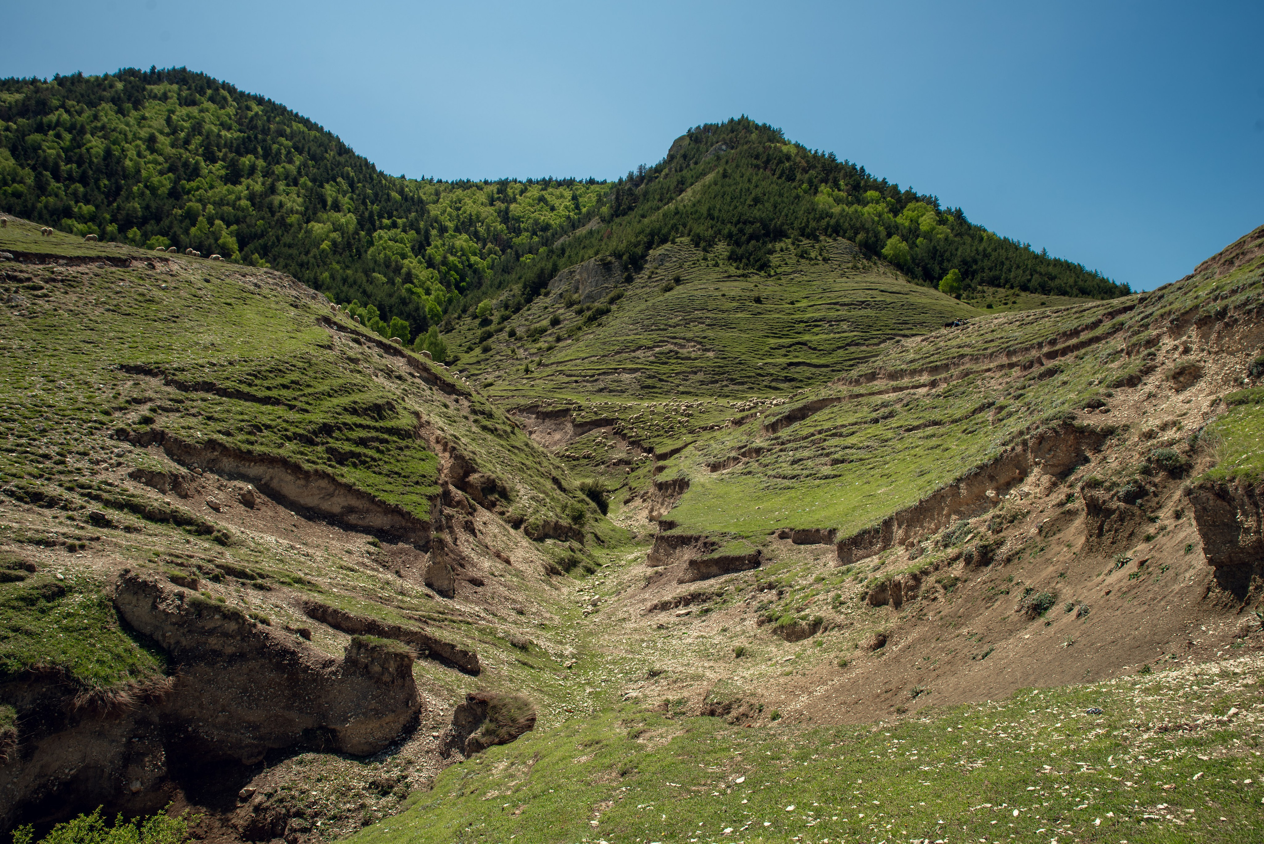 Дагестан. Фотограф Крещение Венчание Москва