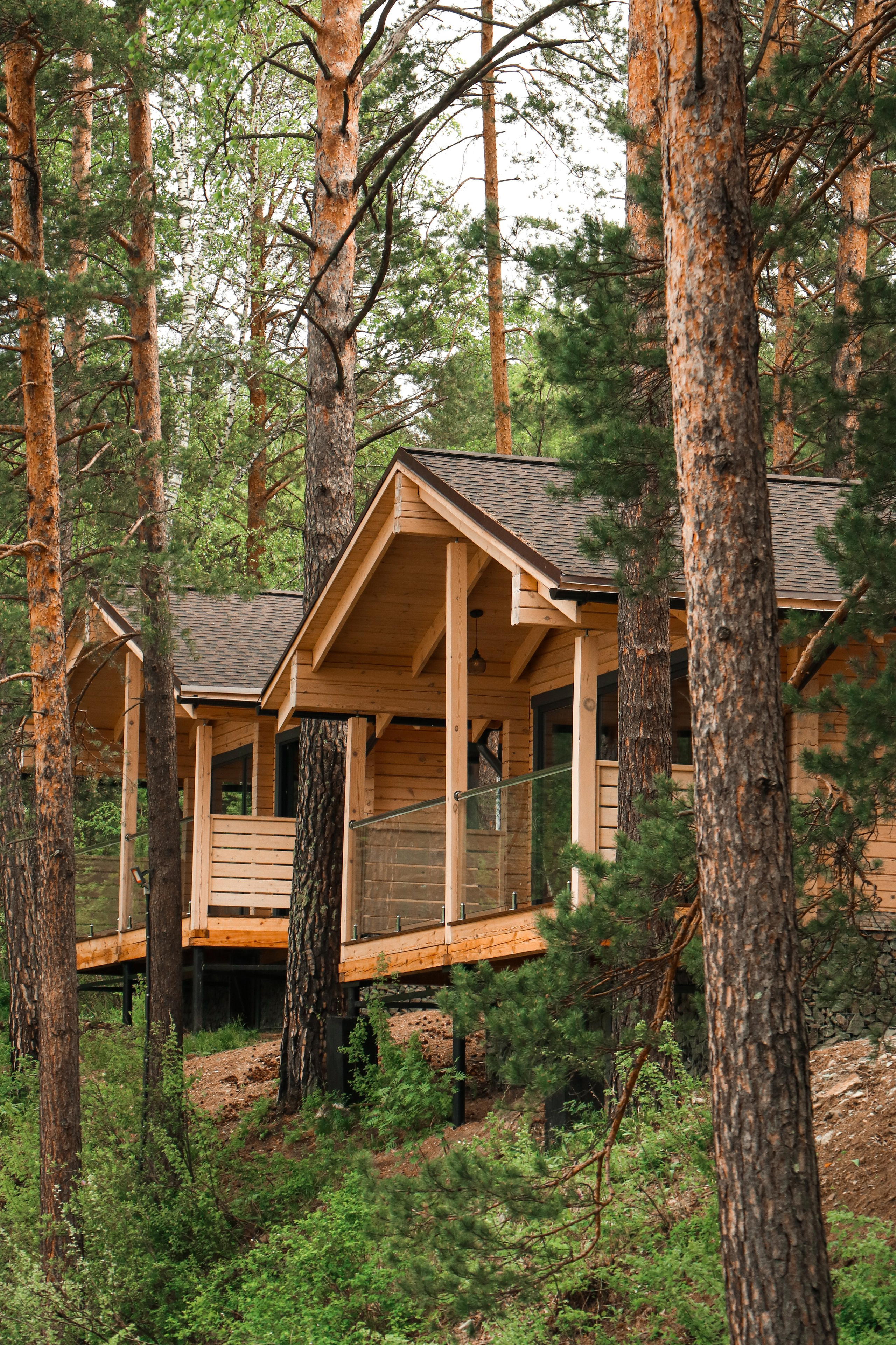 «Ayat River» парк-отель, респ. Алтай. Контент фотограф Дмитрий Борисов