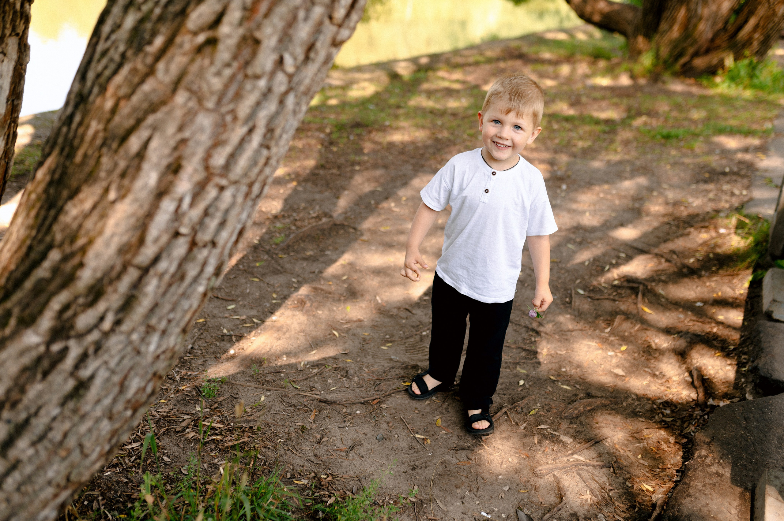 НА ДЕРЕВО ЗАЛЕЗУ. Шашкова Вероника / Свадебный и семейный фотограф Москва и Ярославль
