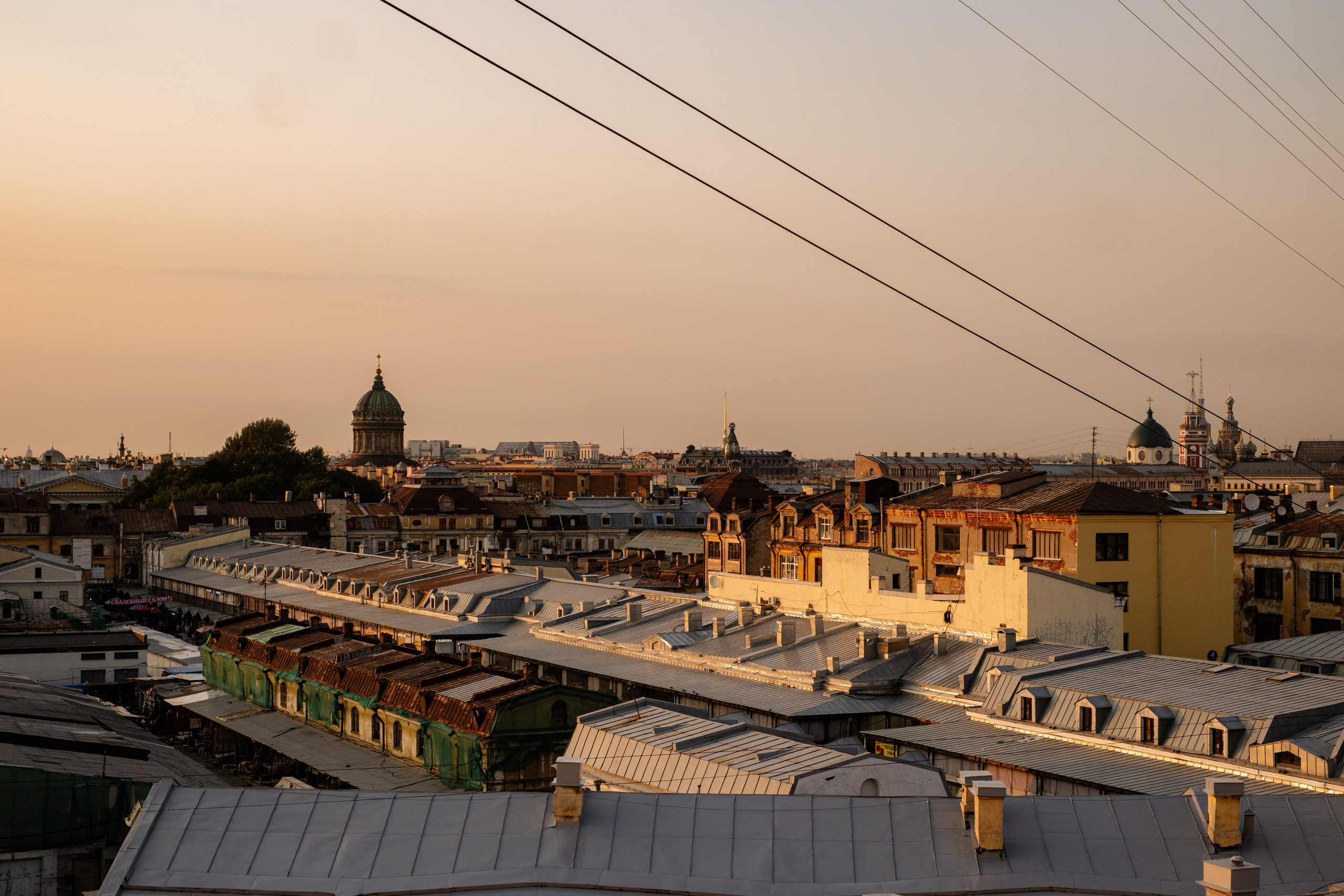 Репортажи. Портретный и репортажный фотограф в Санкт-Петербурге Дарья Сибирякова