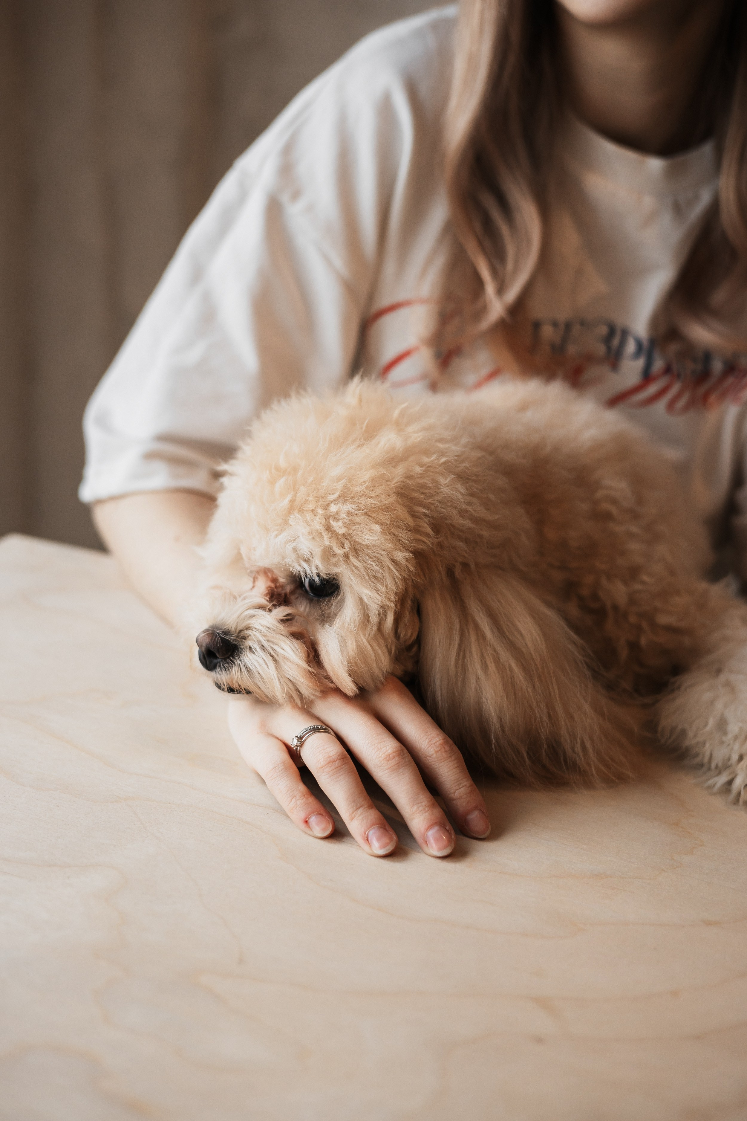 Алина — прогулка