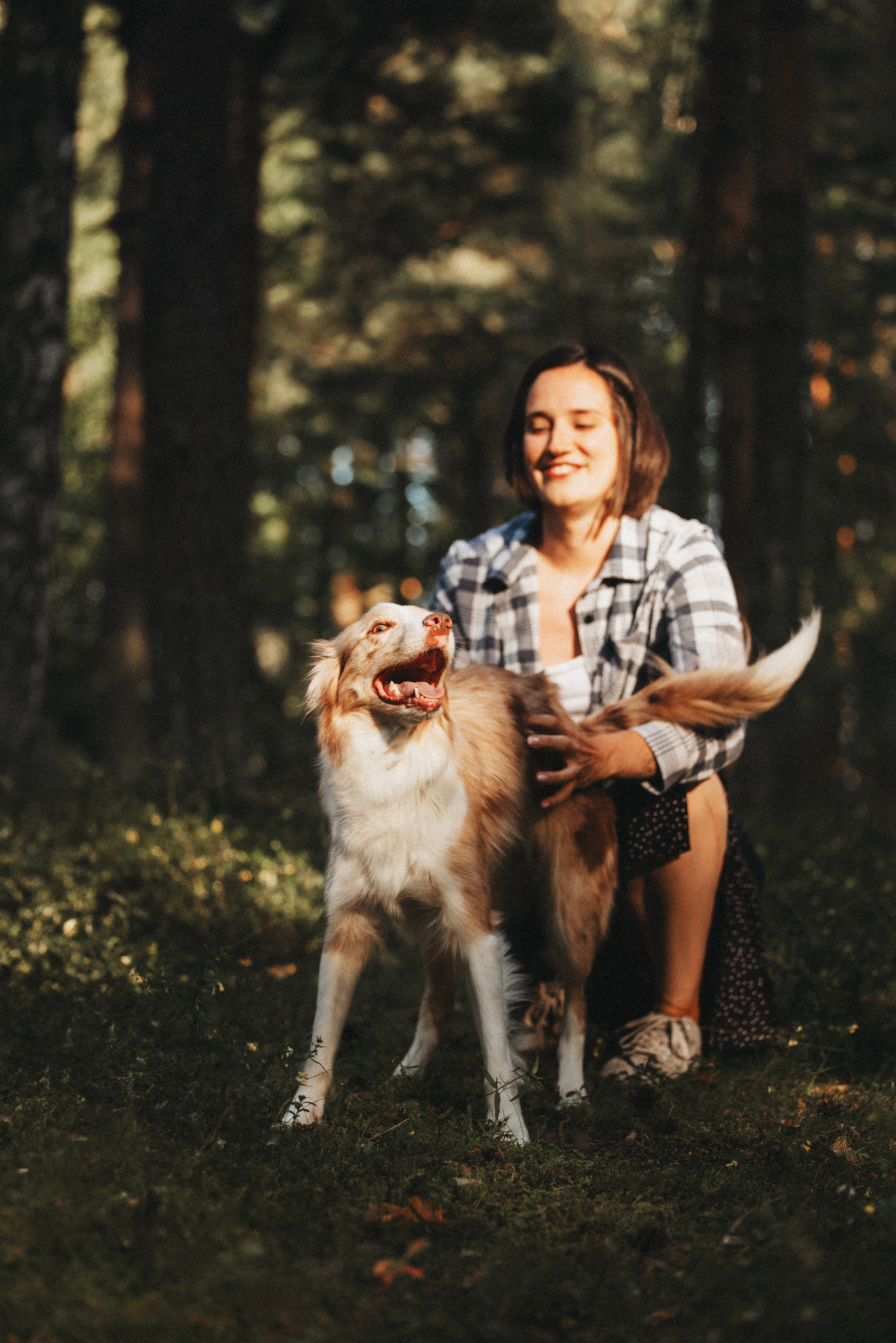 Рита, Маша и много собак. Фотограф анималист Осипчикова Мария