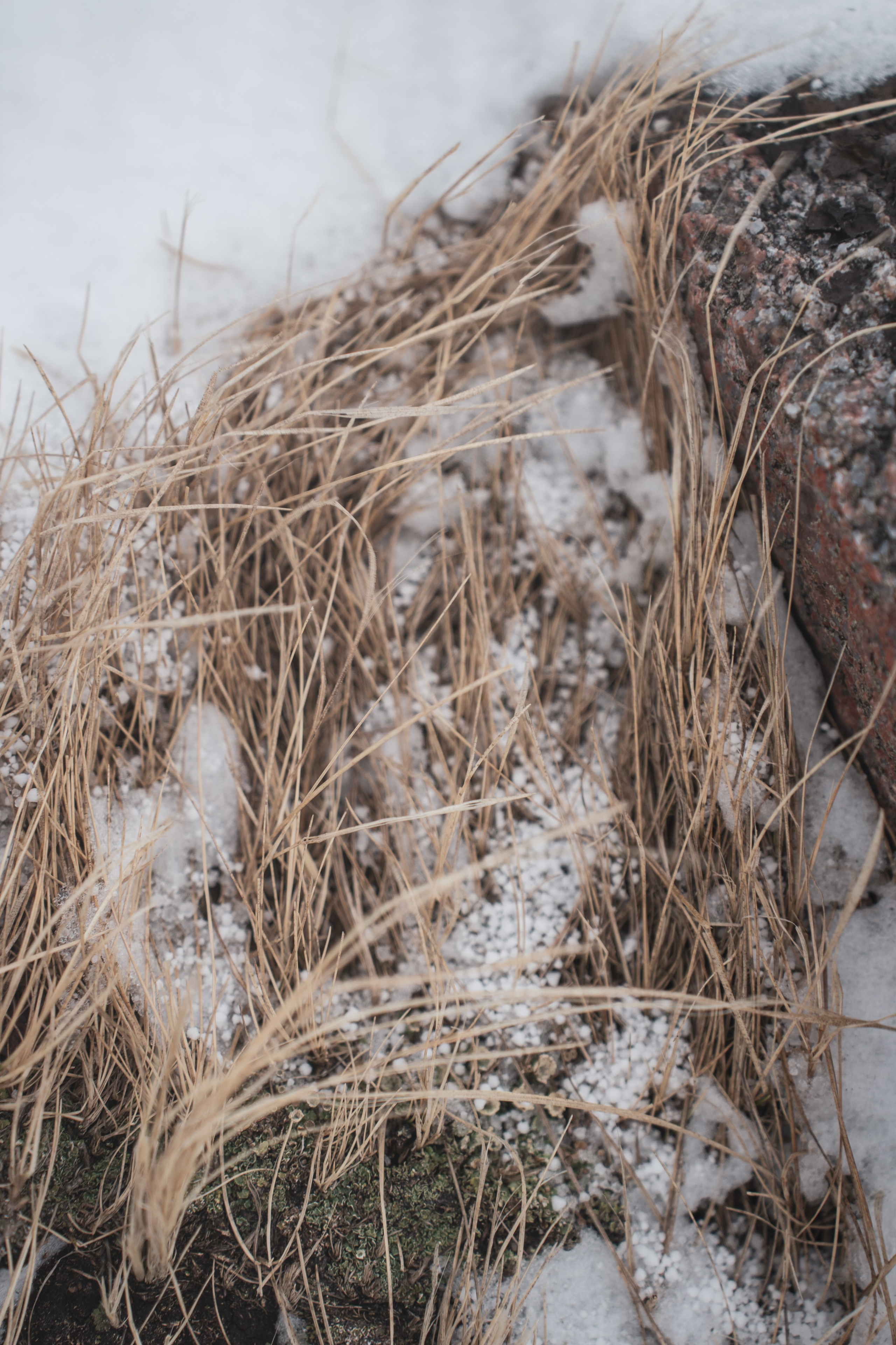 Териберка — репортаж тура Ковчег 51. Видеограф в Санкт-Петербурге Анастасия Коок