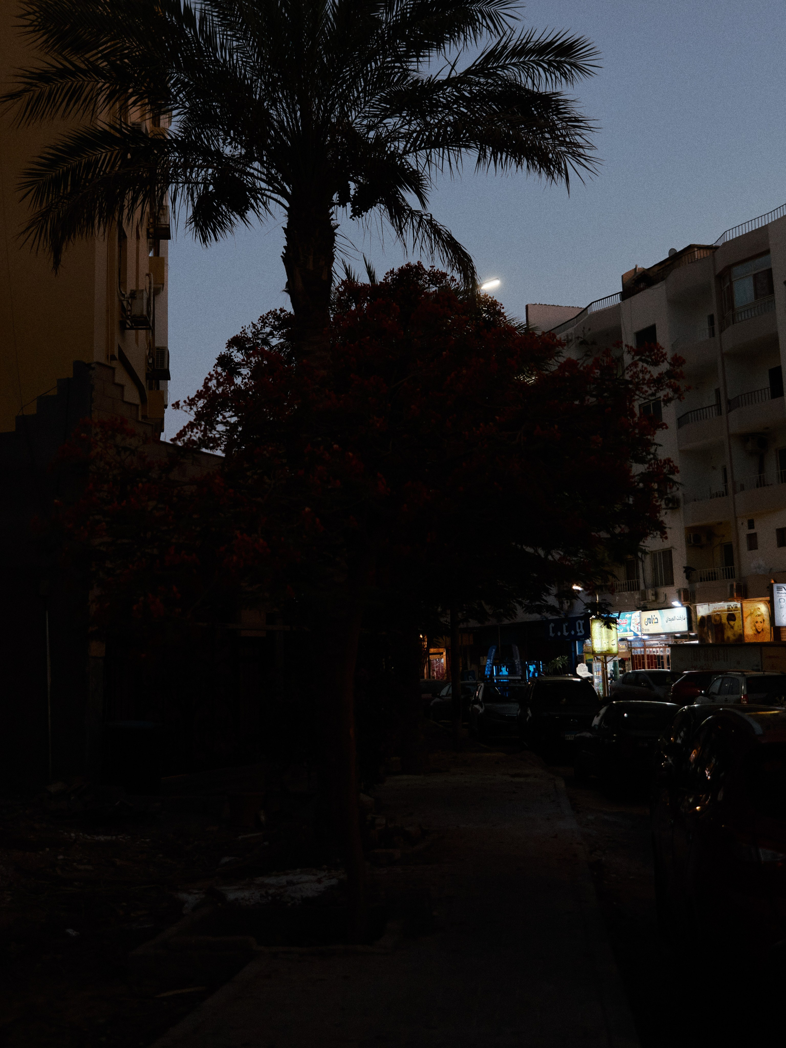 Другое 2. Jorgis Talè — photographer, kind person, teacher of arts and other mag