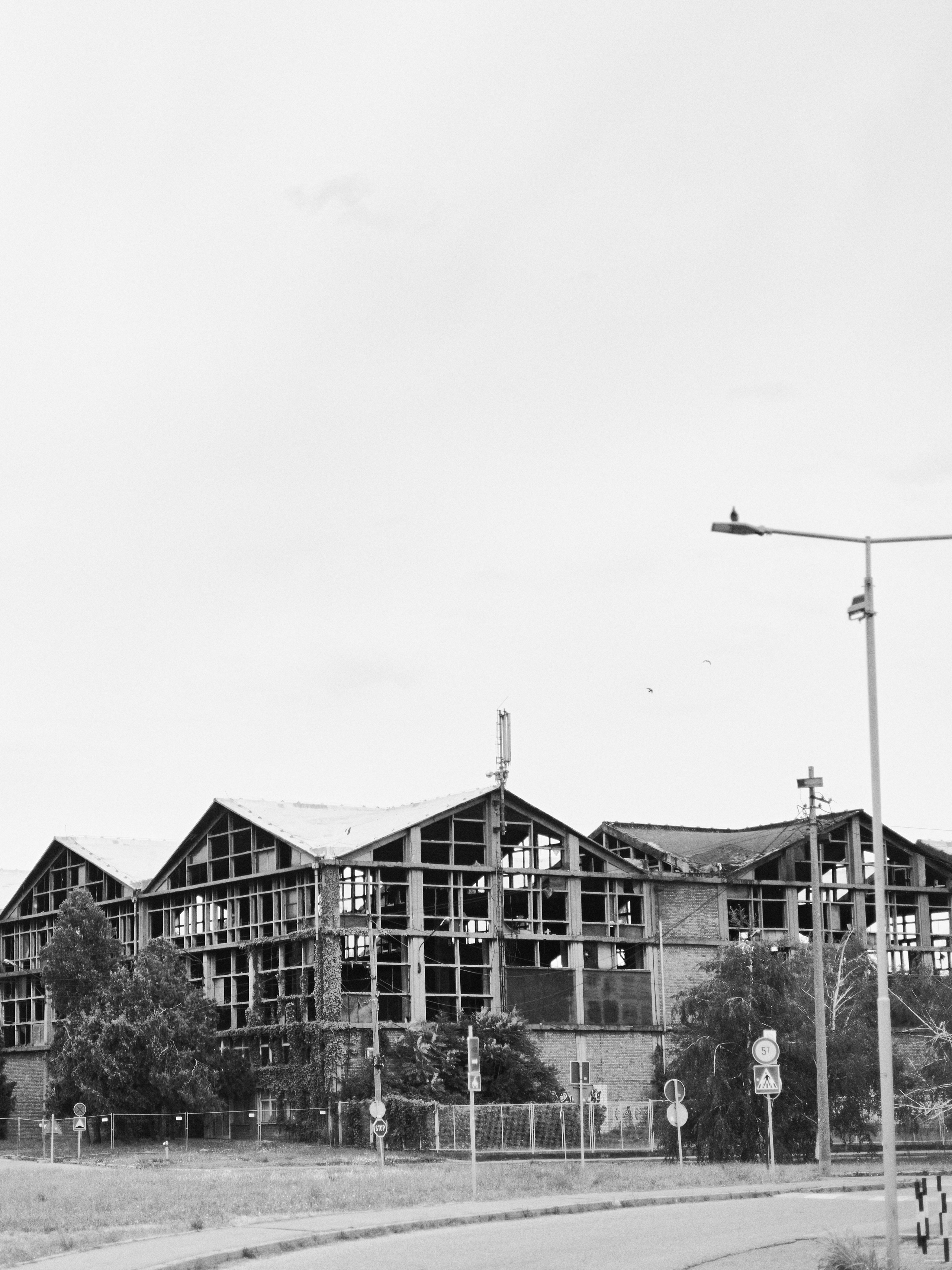 Другое 5. Jorgis — фотограф в Хургаде / обучение фотографии