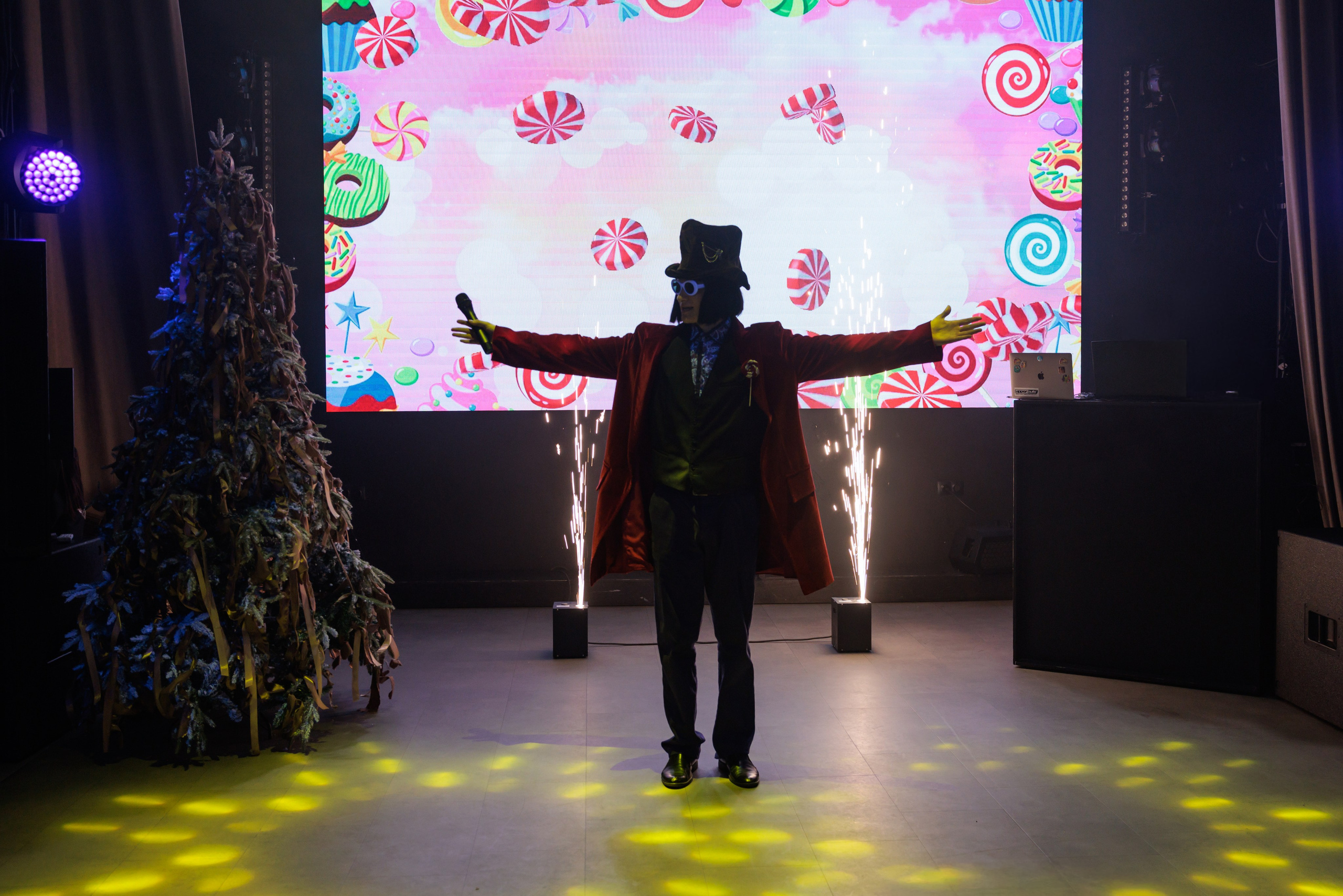 Новый год С Вилли Вонко в Белом Замке. Фотограф в Красноярске Евдокимова Анастасия