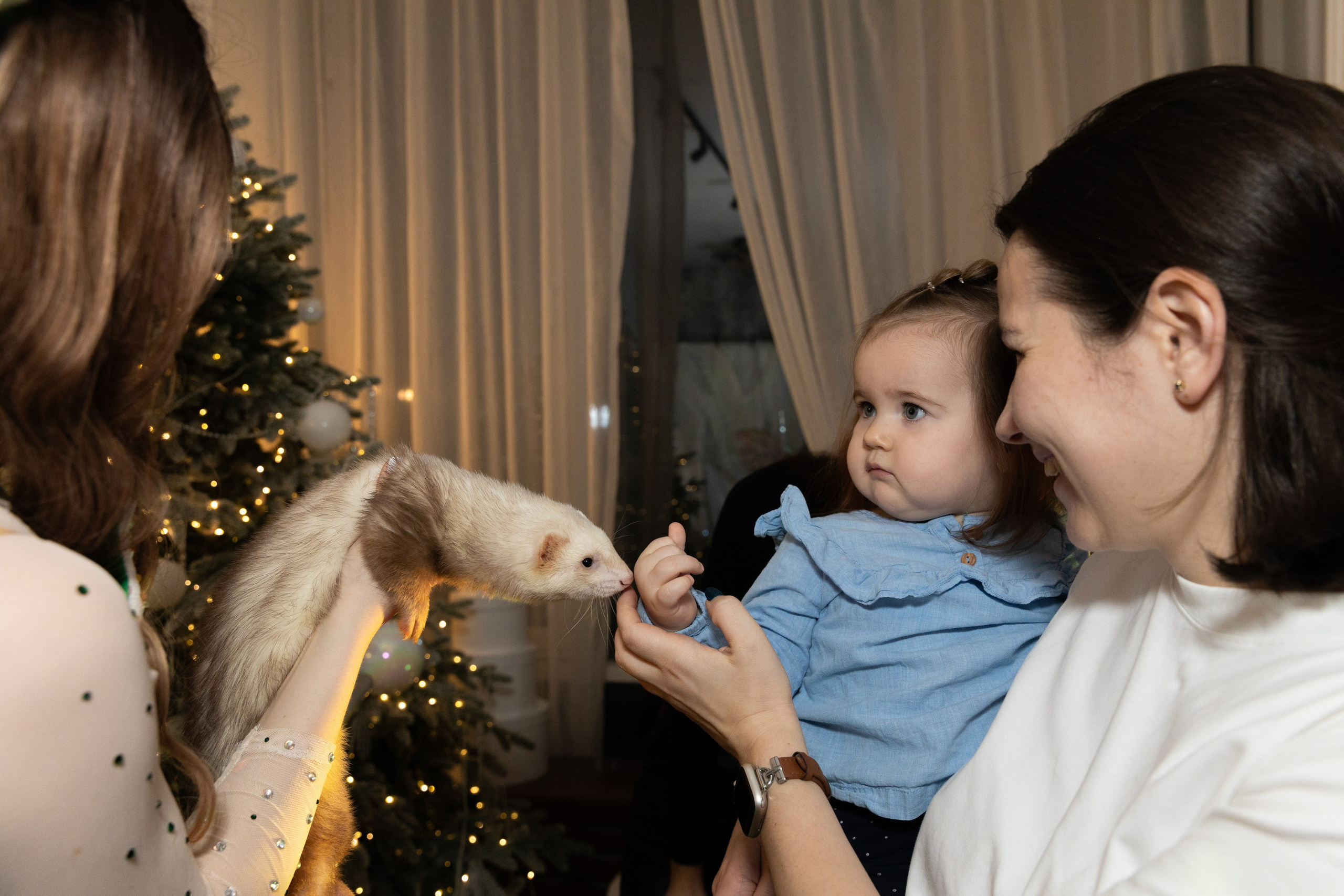 Семья и дети. Свадебный и семейный фотограф и видеограф Александр в Москве и Московской Области