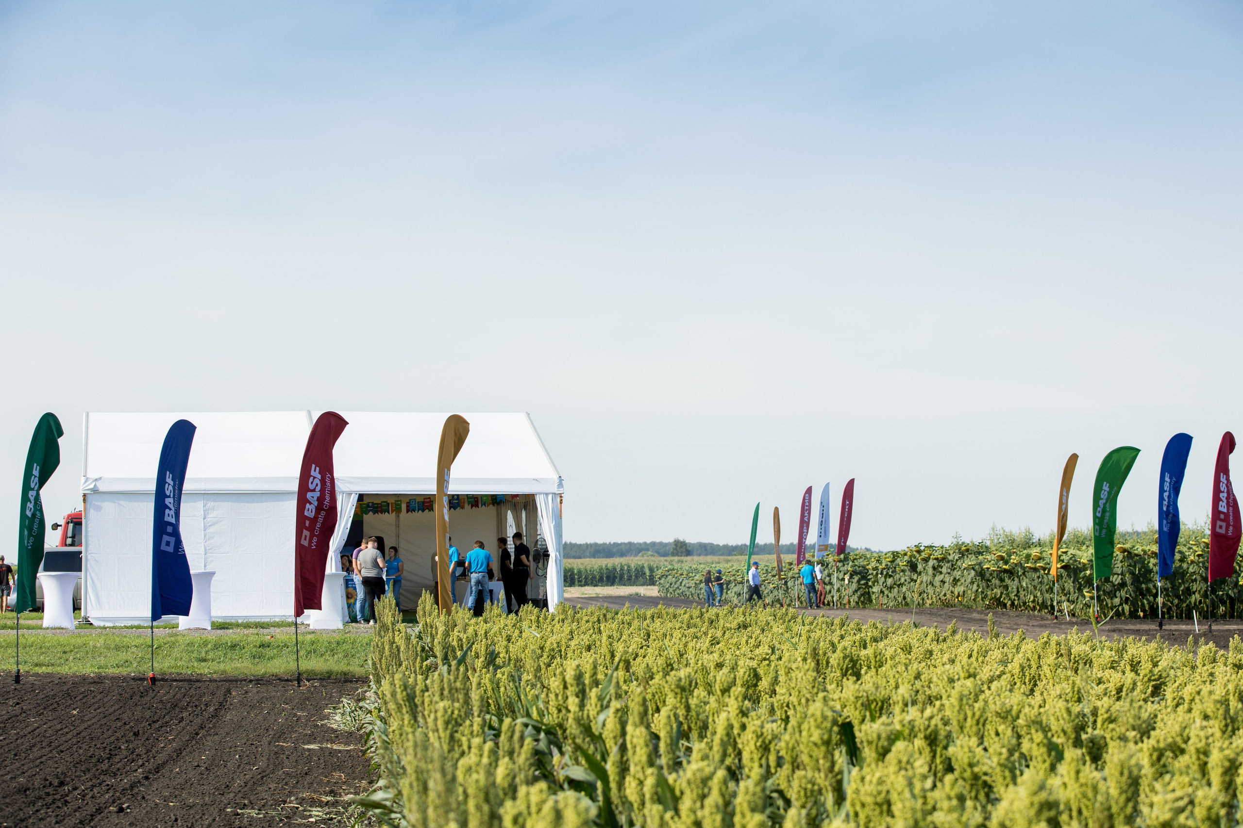 Решения для сельского хозяйства BASF 16.08.2022. Владислав Волков | Фотография и видеосъемка в Воронеже
