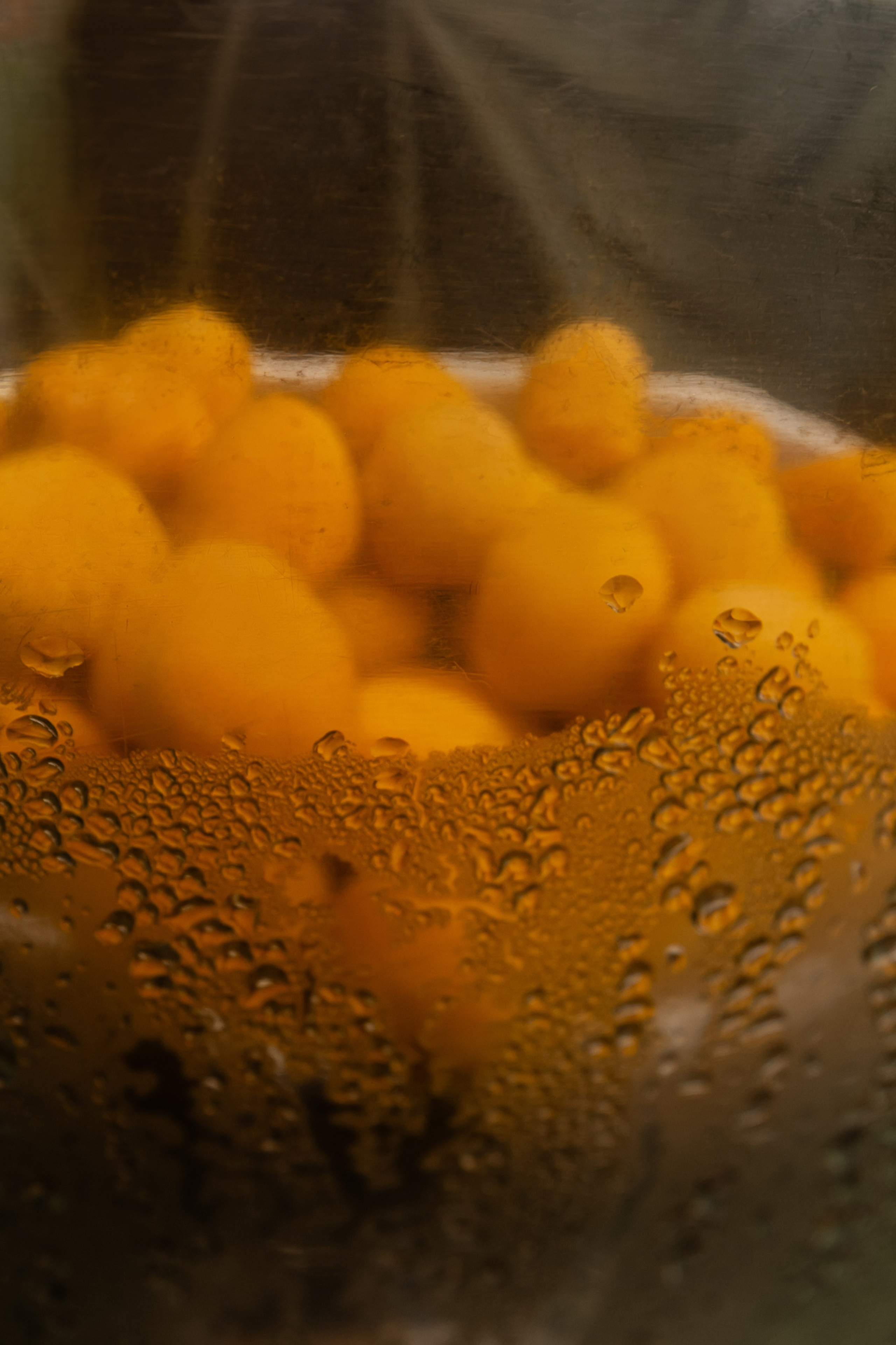 Anna & Alex film/digital Dwor Staiki. Свадебный фотограф Кристина Винокурова