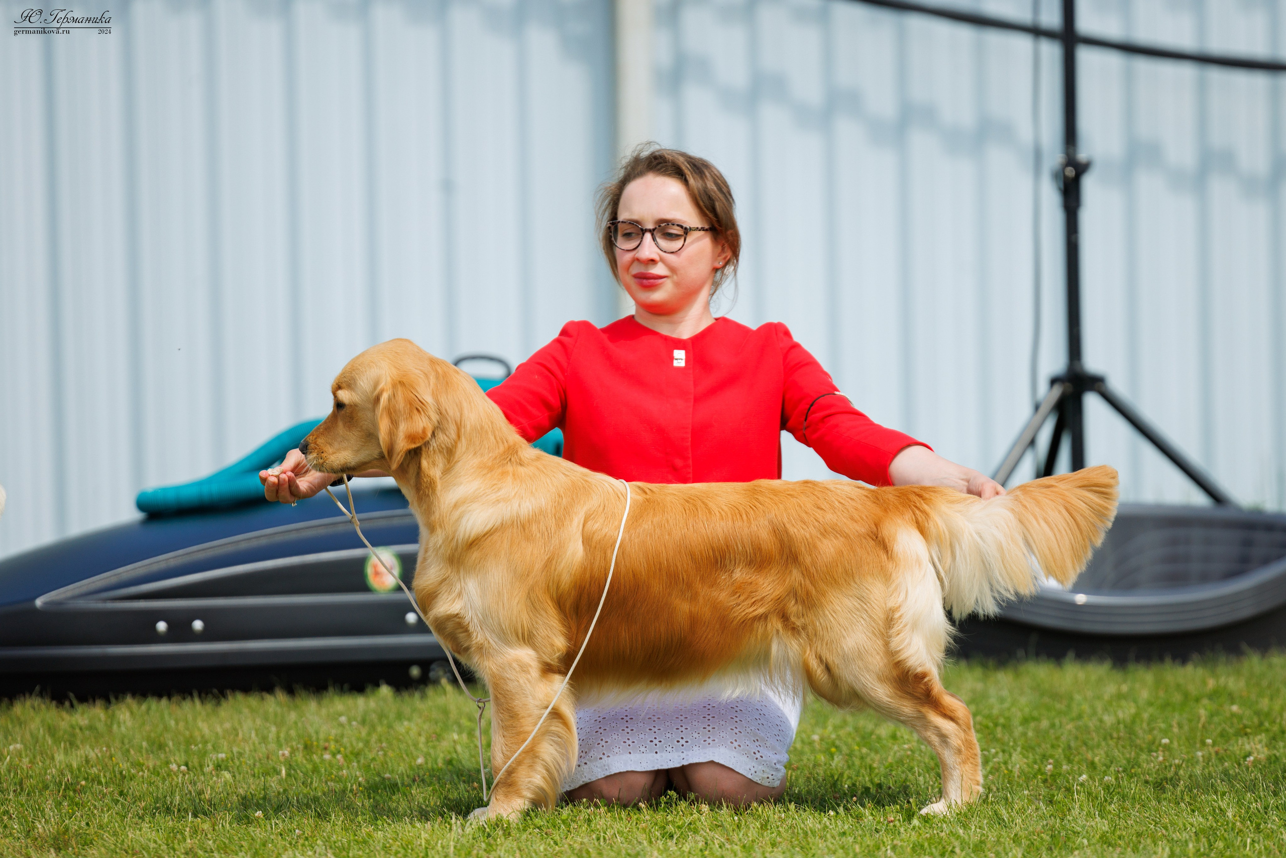 Голдены 15-16.06.2024. Фотограф-анималист Юлия Германика