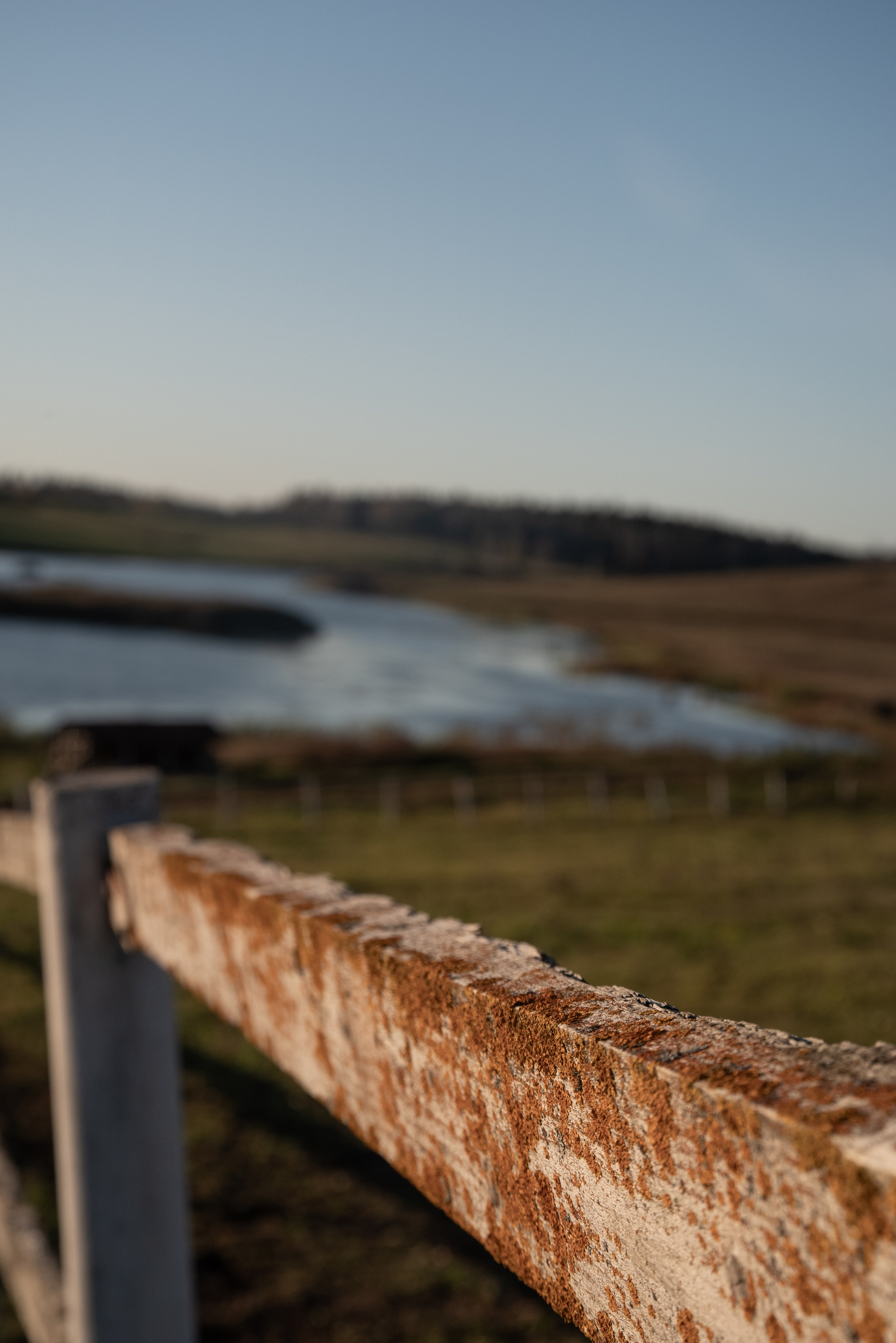 Корпоратив и оформление фотозоны в стиле ранчо). Фотограф Светлана Воронцова