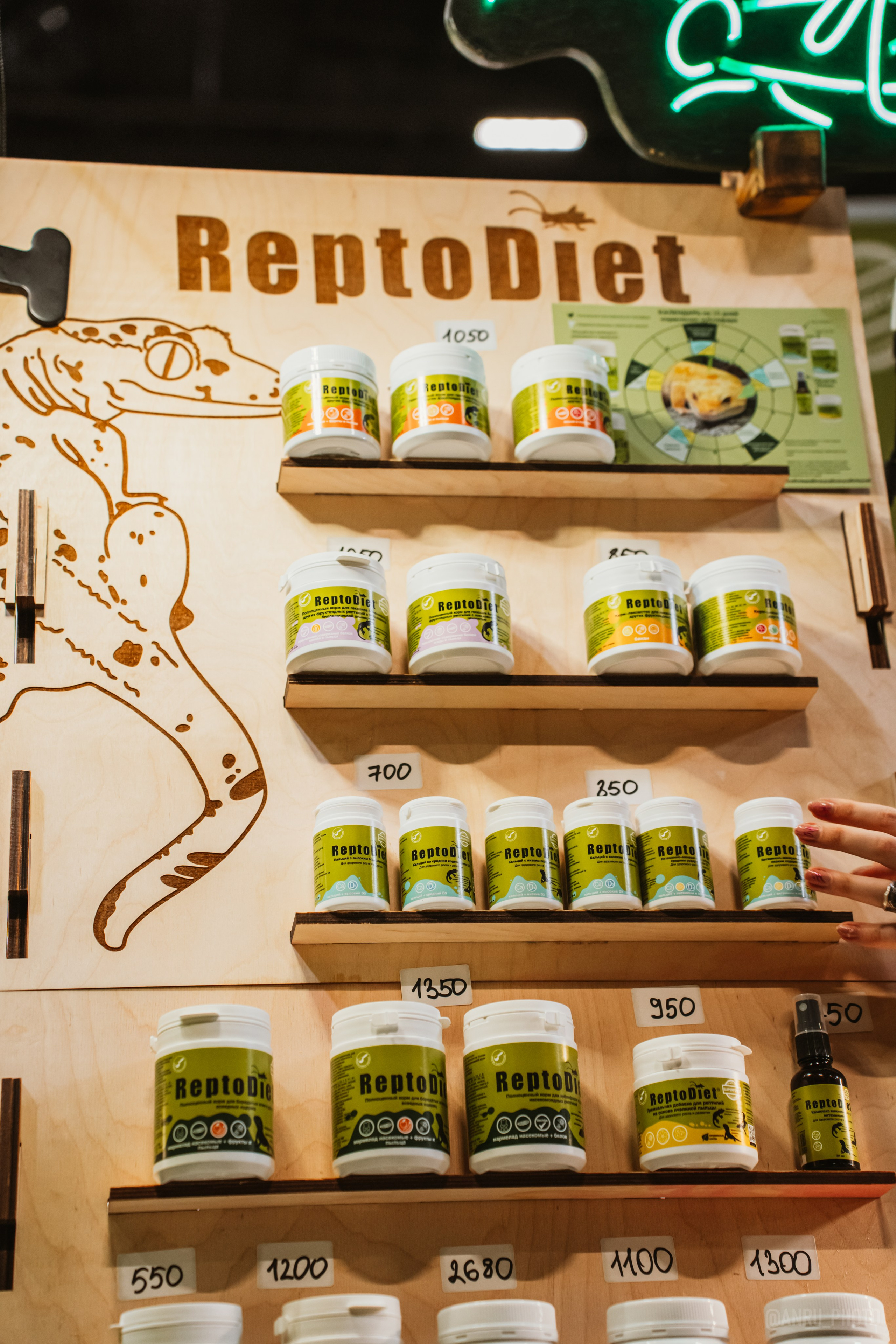 Рептилиум (ручная работа). Репортажный фотограф Анастасия Рубцова