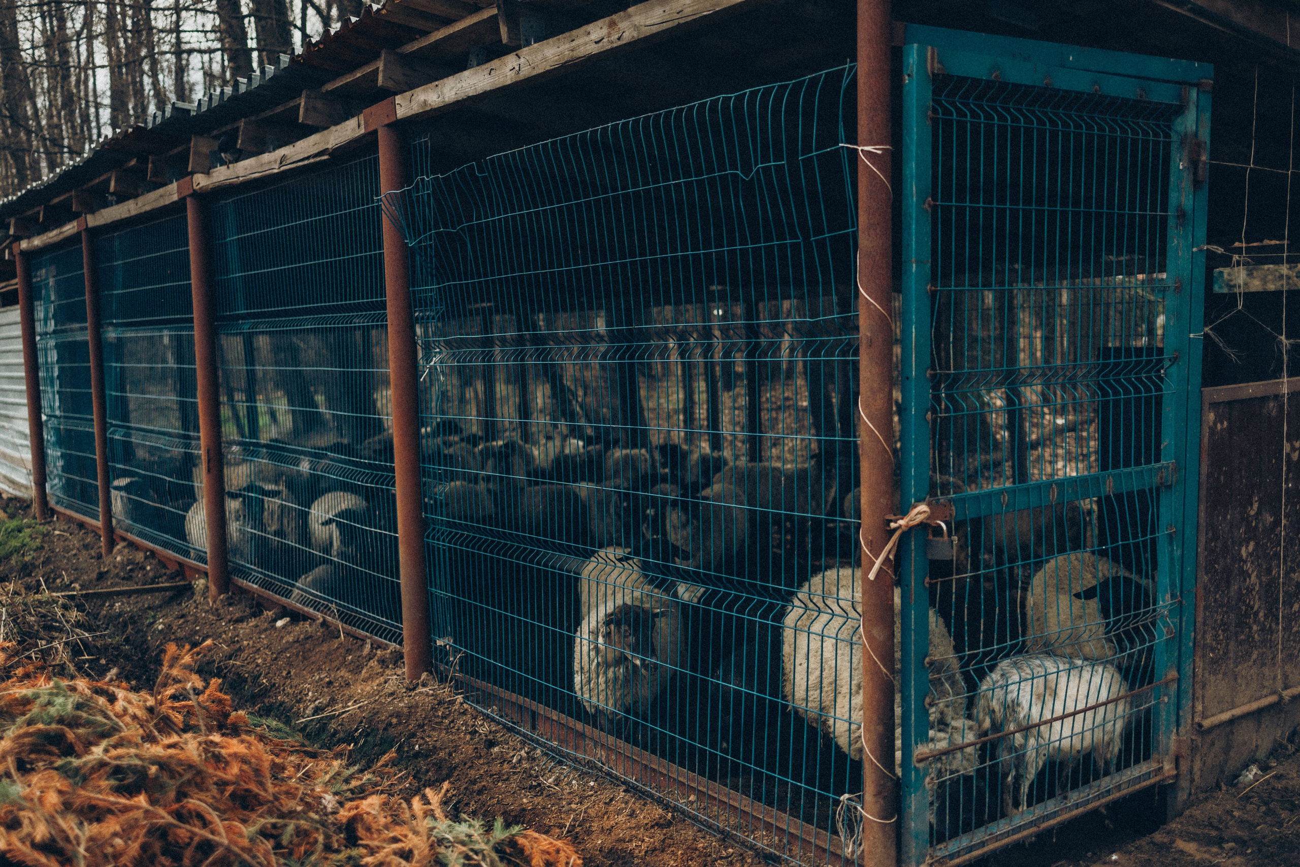 Руслан и Тимур 2. Семейный фотограф Москва