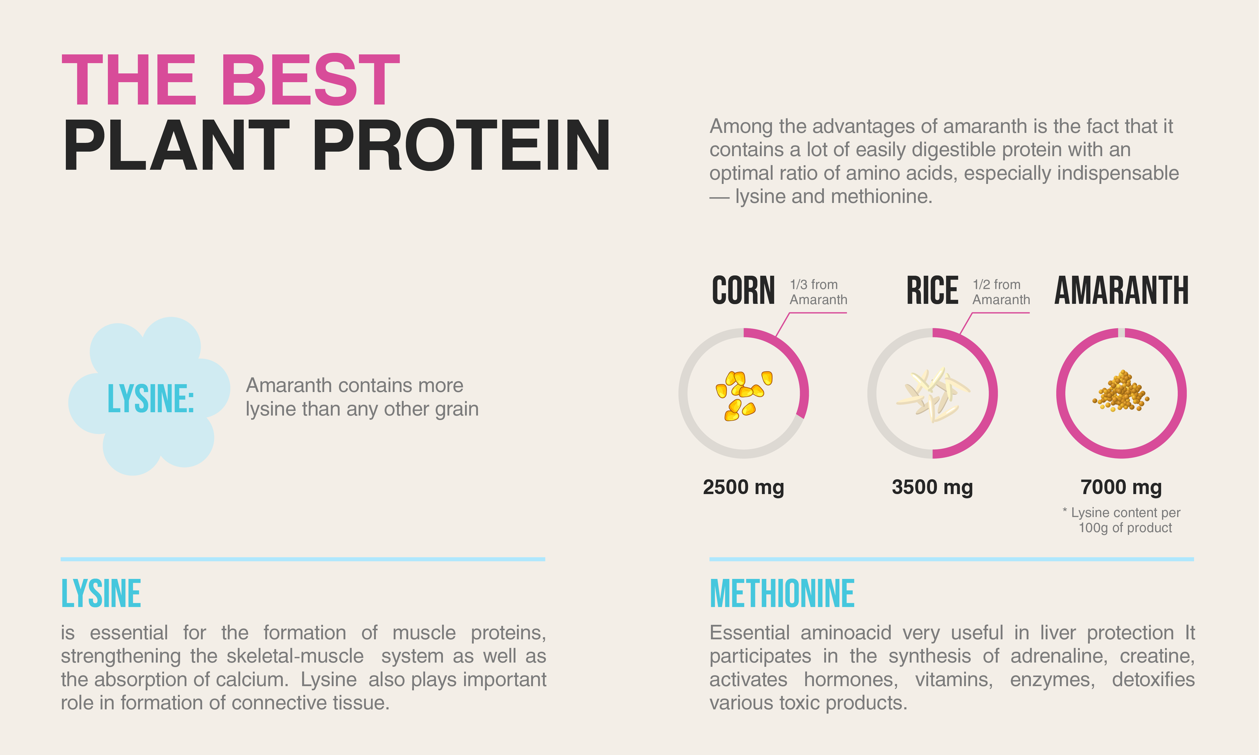 AMARANCHO. Arina is a creative Graphic Designer