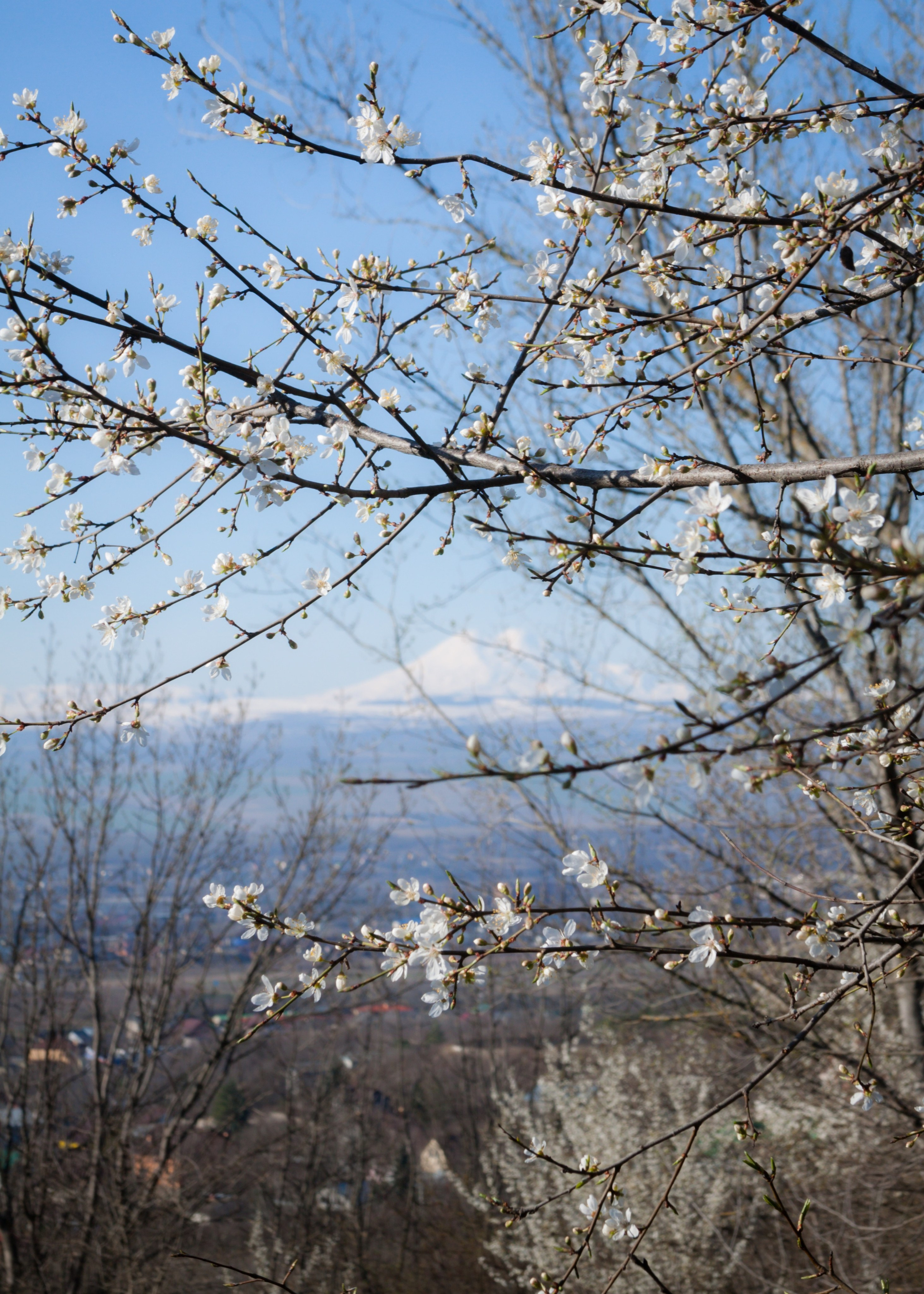 Весна на КМВ