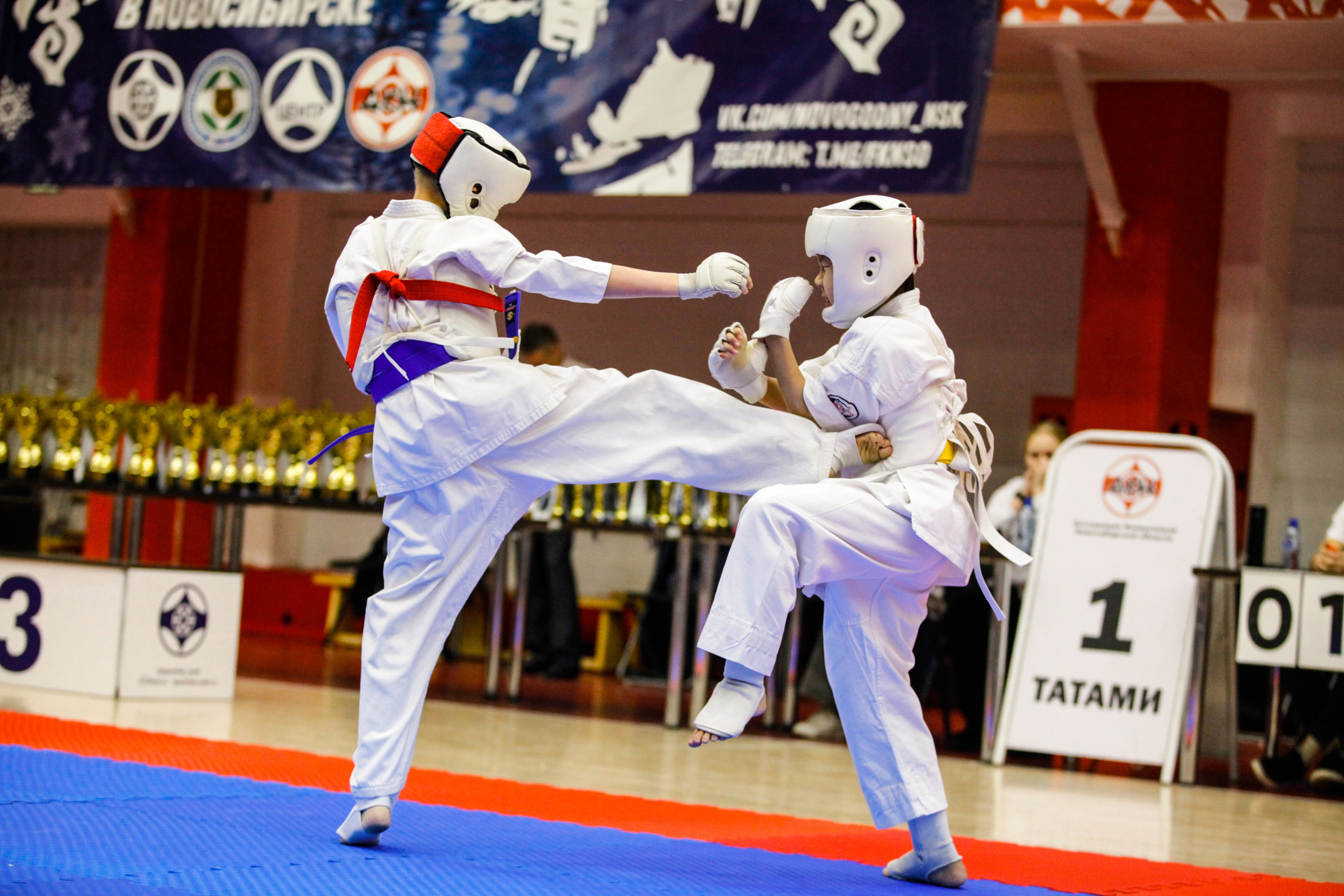 КАРАТЕ. Фото. Спортивный фотограф, трансляция, звук и свет в Новосибирске