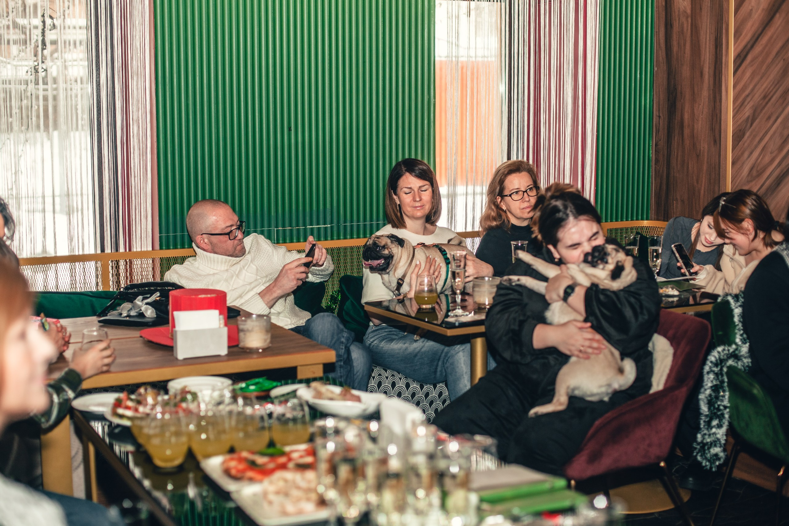 Мопсовстреча 02.12.2023. Фотограф-анималист Татьяна Степанова