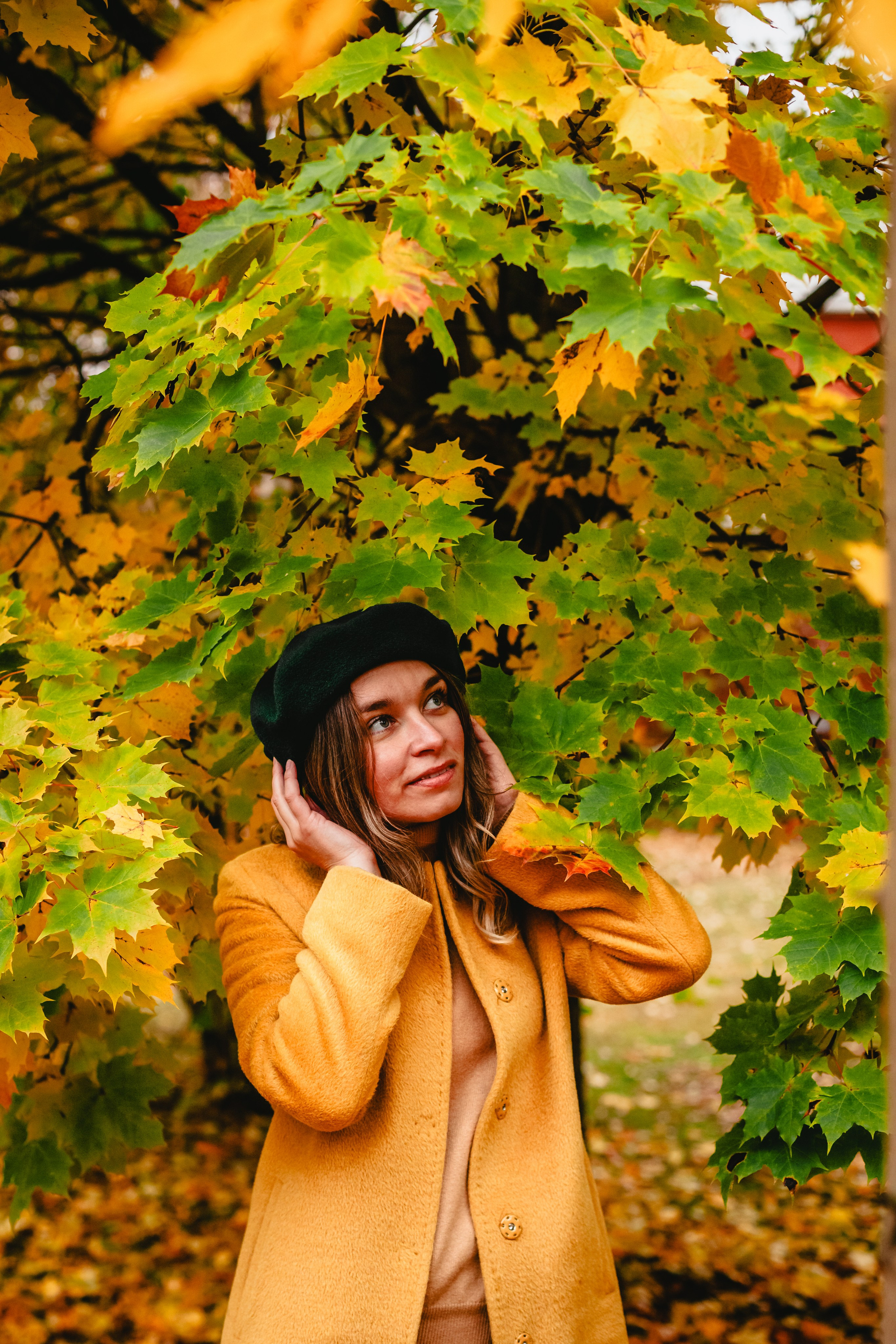 Оля, Харви, Луис. Фотограф-анималист Татьяна Степанова