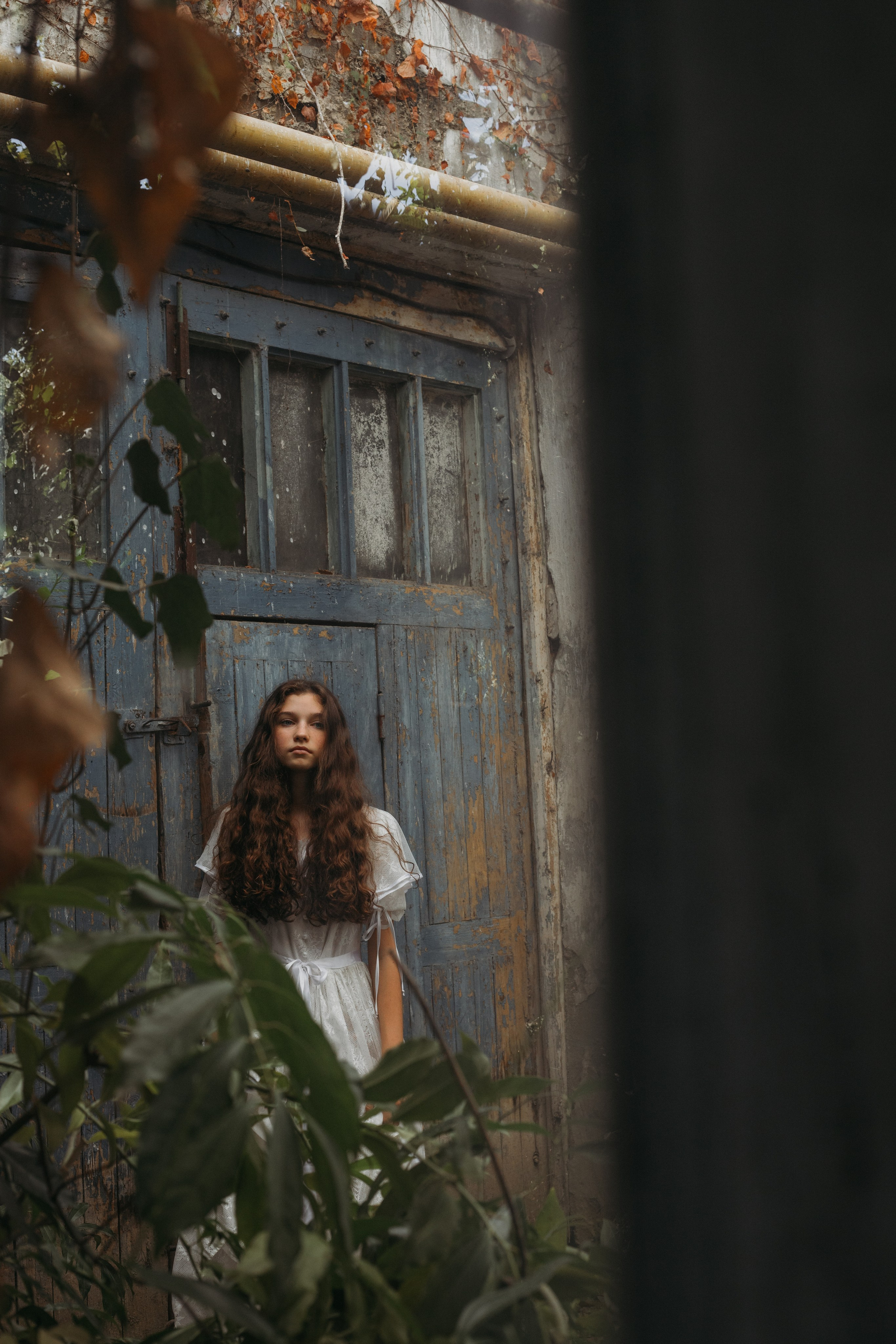 Оранжерея. Репортажный фотограф в Сочи Екатерина Вежливцева