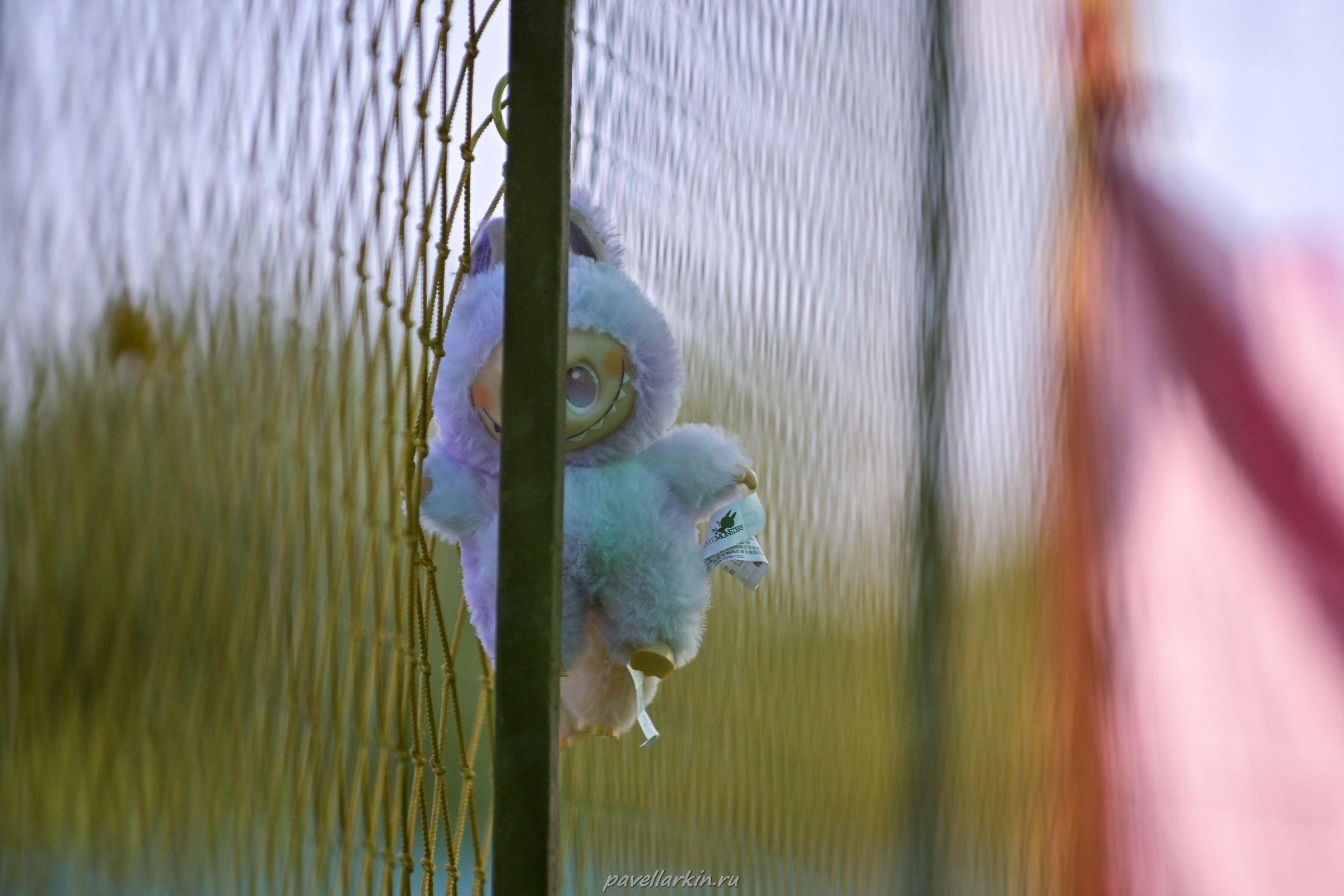 Софтбол: Финал юношеской спартакиады 2025 года. Спортивный фотограф, фотожурналист Павел Ларькин