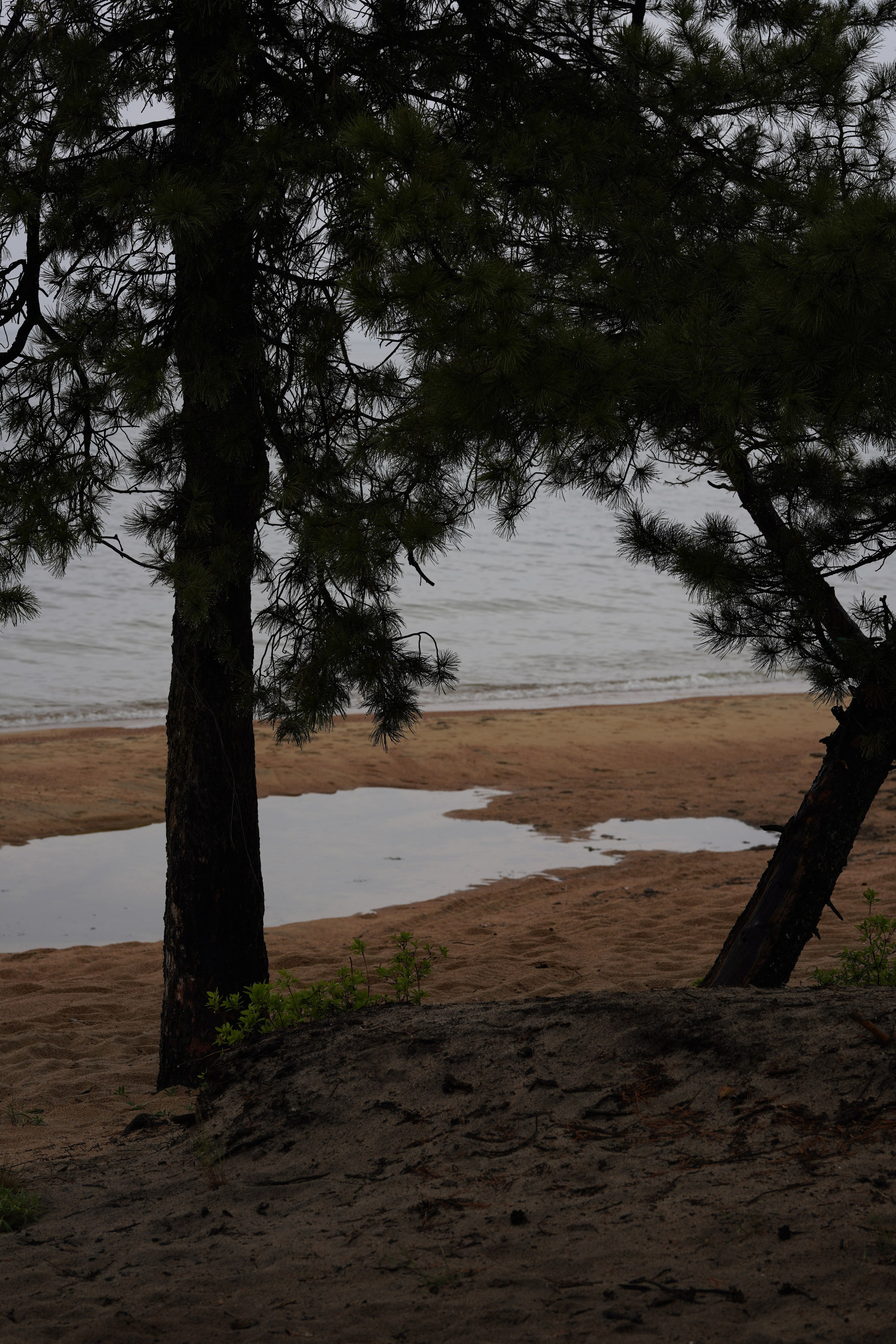 BAIKAL 06|24. Фотограф Виктория Виноградова