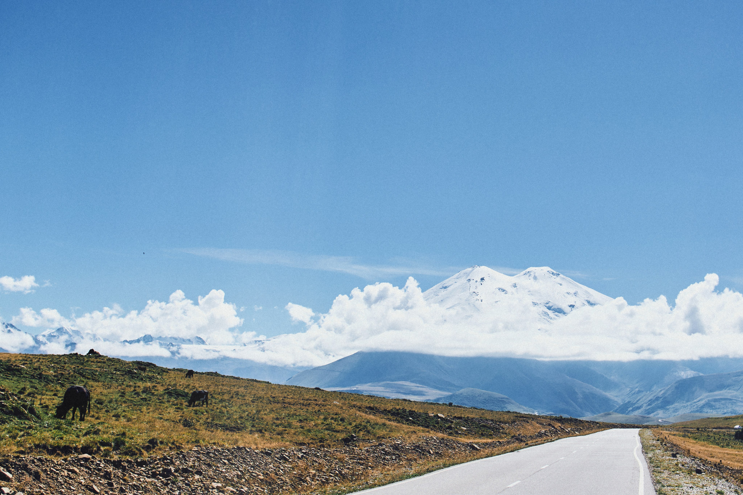 Kavkaz. SHILOVA PHOTO. Шилова Екатерина. Фотограф. Москва