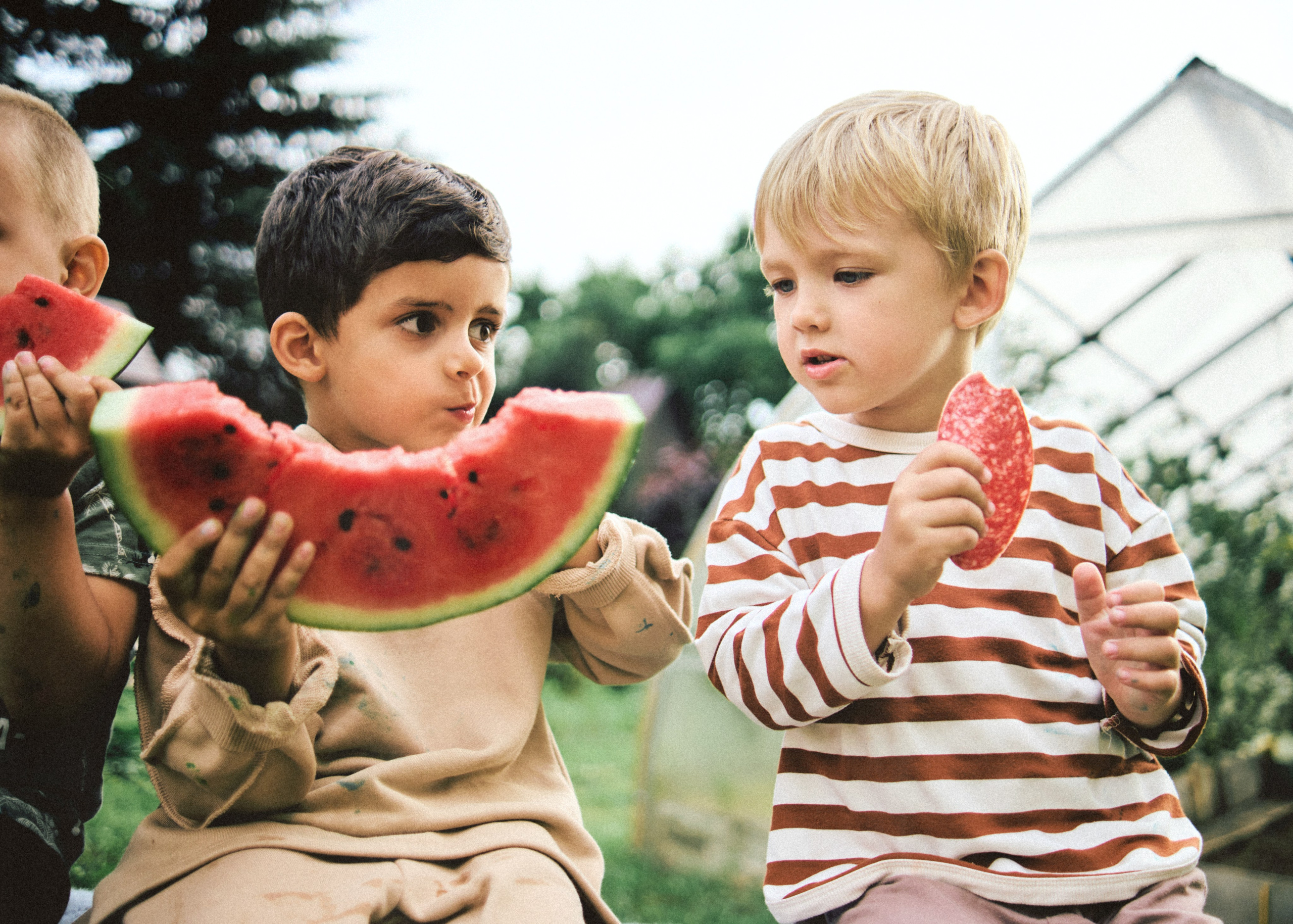 Банда. SHILOVA PHOTO. Шилова Екатерина. Фотограф. Москва