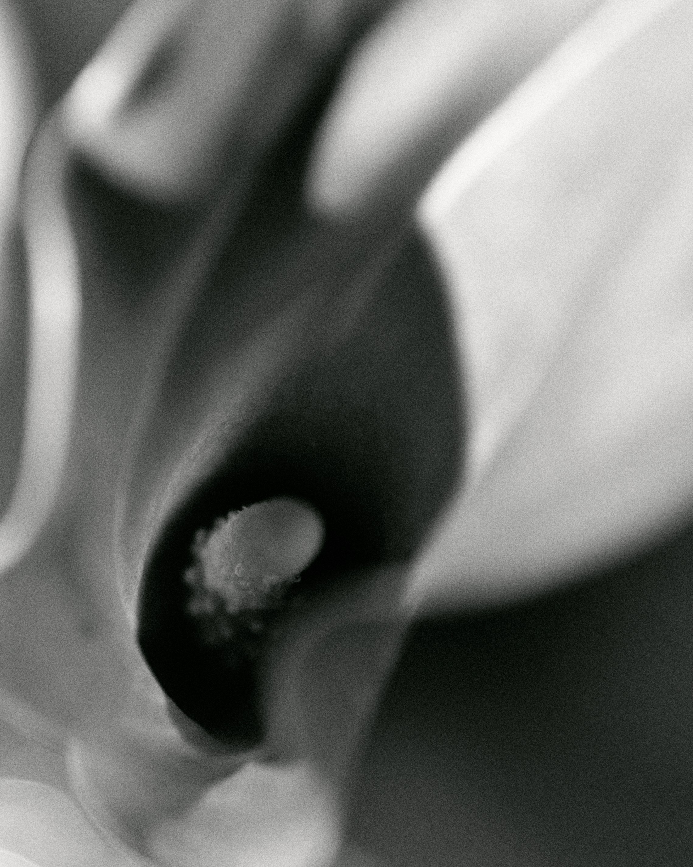 VLAD & VIKA. Свадебный фотограф Жучкова Елизавета в Москве