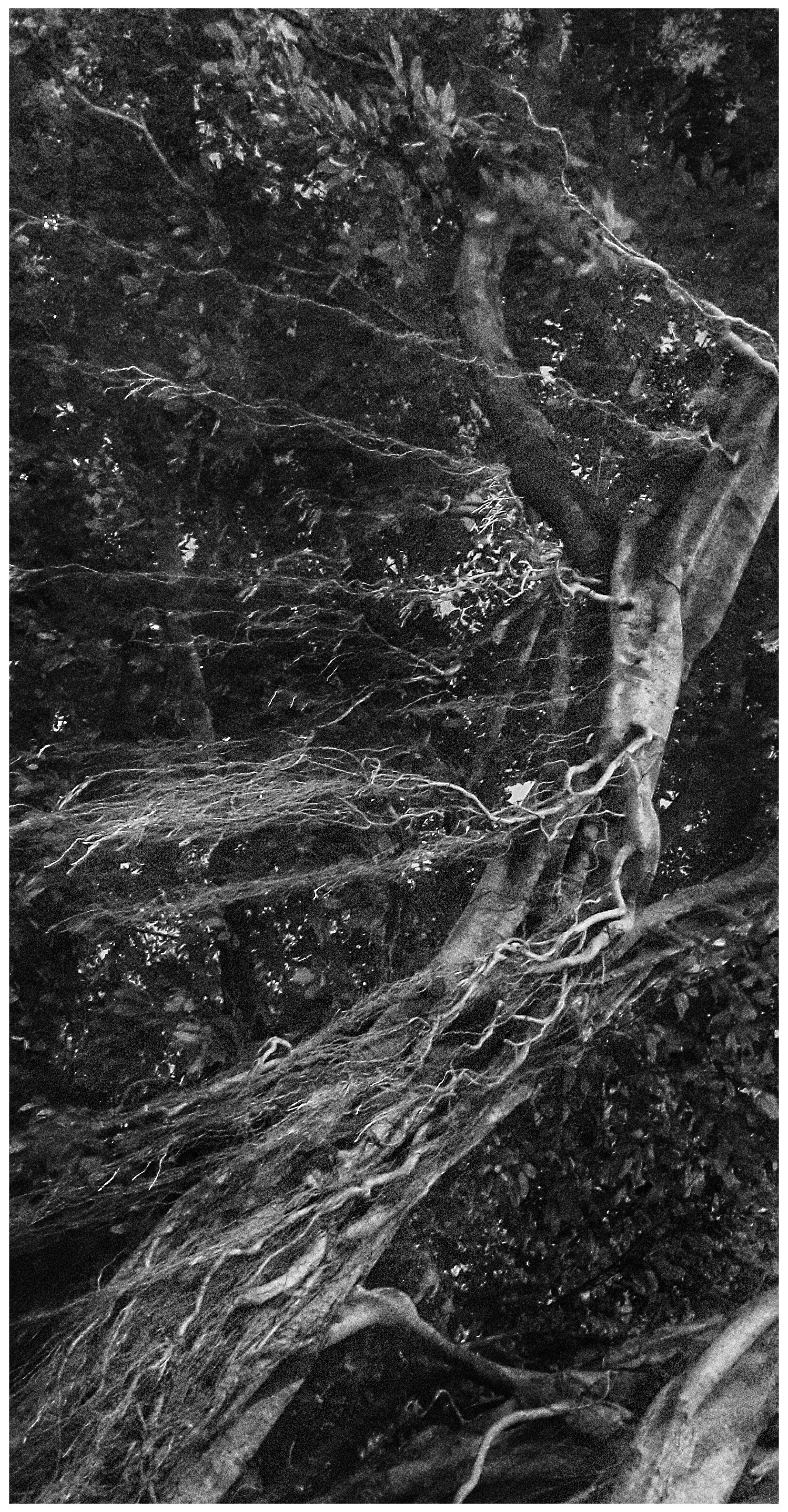 2017. Тащилин Сергей. Фотографии. Жизнь. Хобби