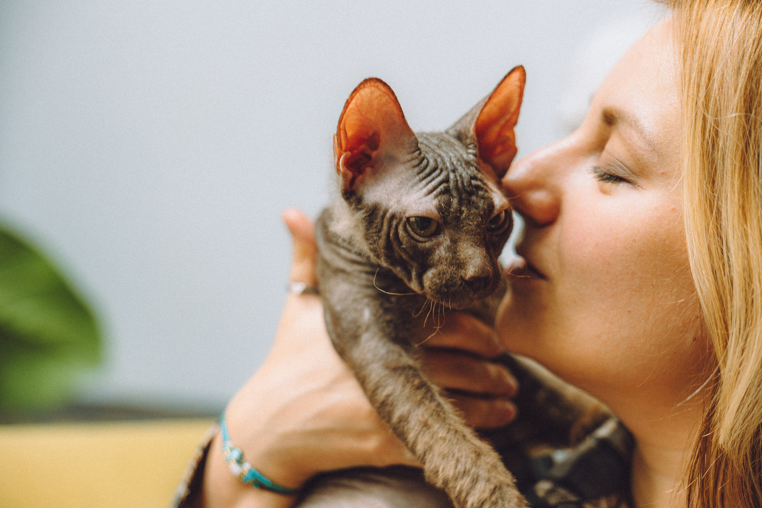 Кокос, Света, Динара и Вилли