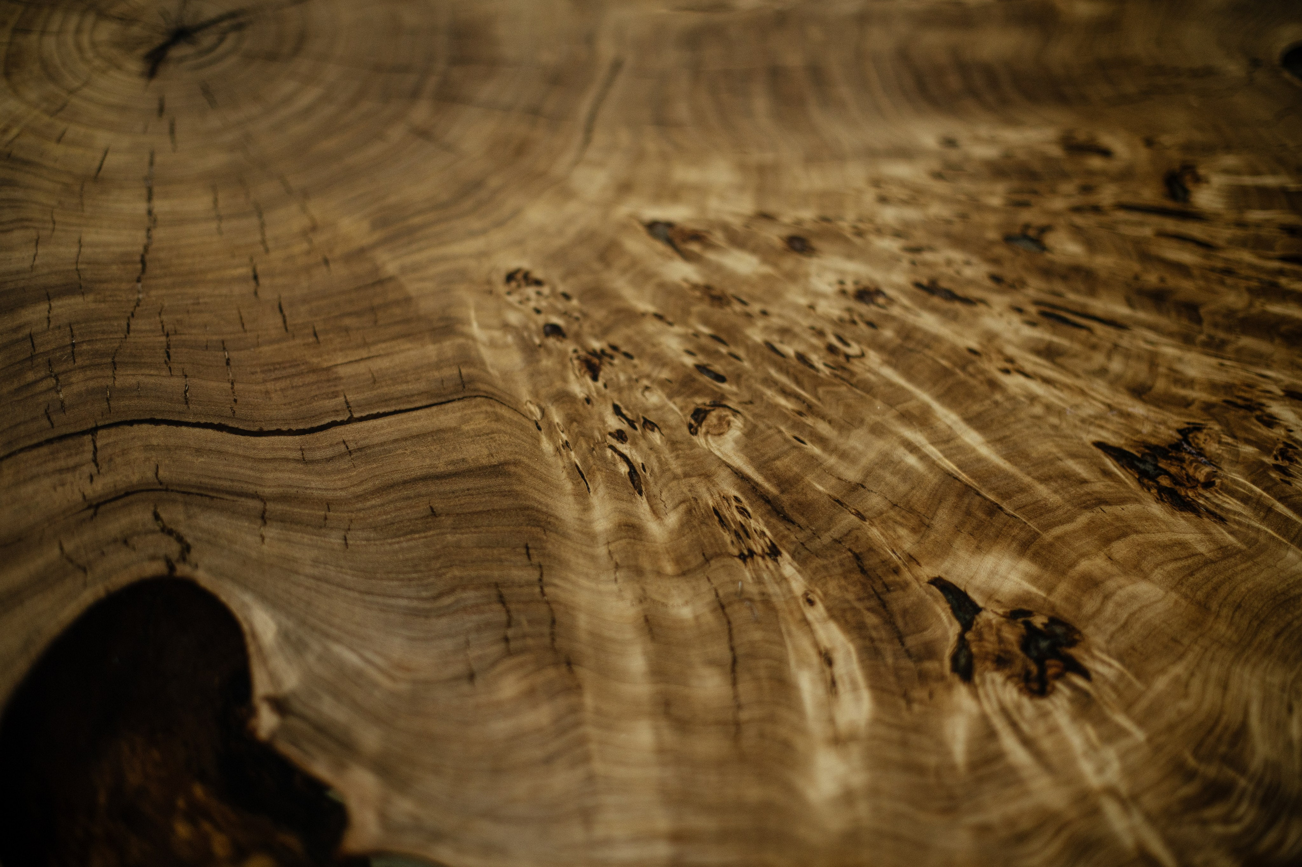 Алексей и Ксения. Свадебные фотографы в г. Сургут Маркова Наталья и Замахина Елена