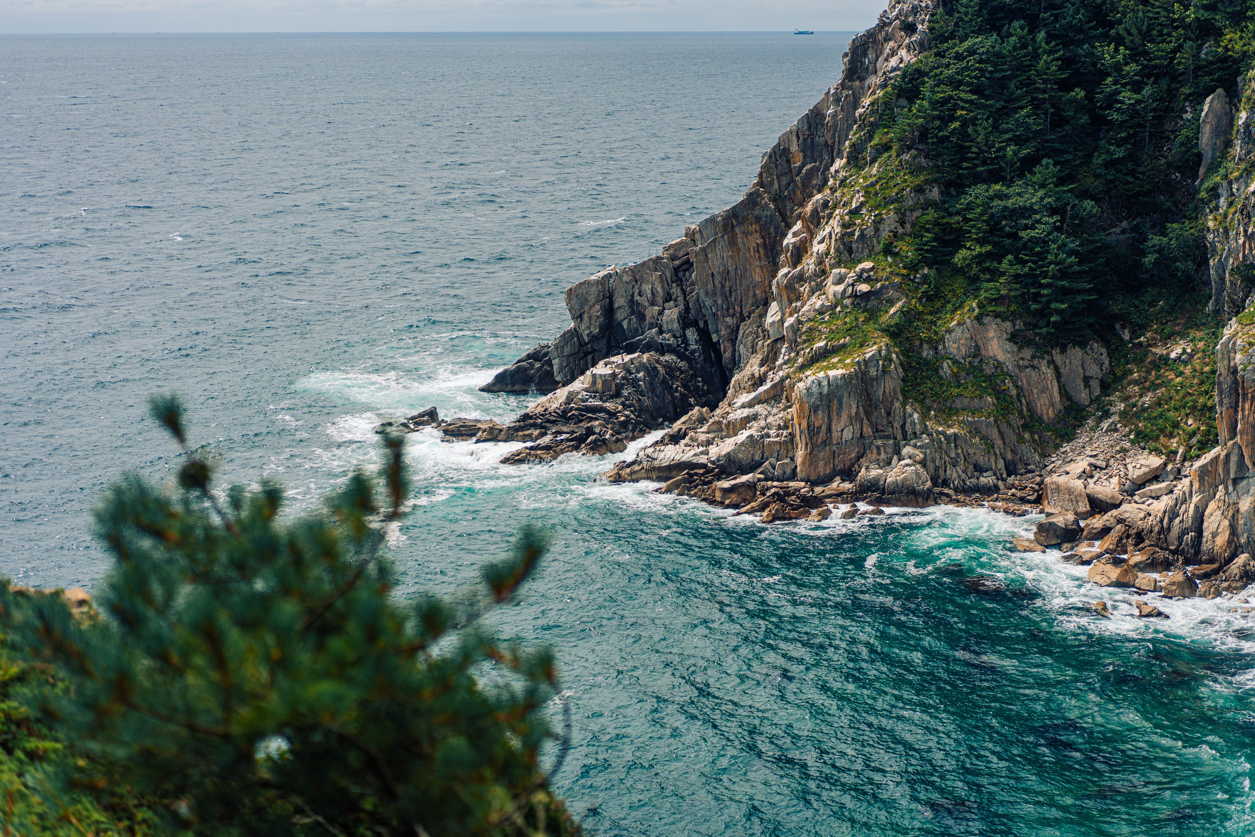 Тисовая роща | Остров Петрова. Иван Зайцев (IZIART) — создание культурного кода через фото и видео