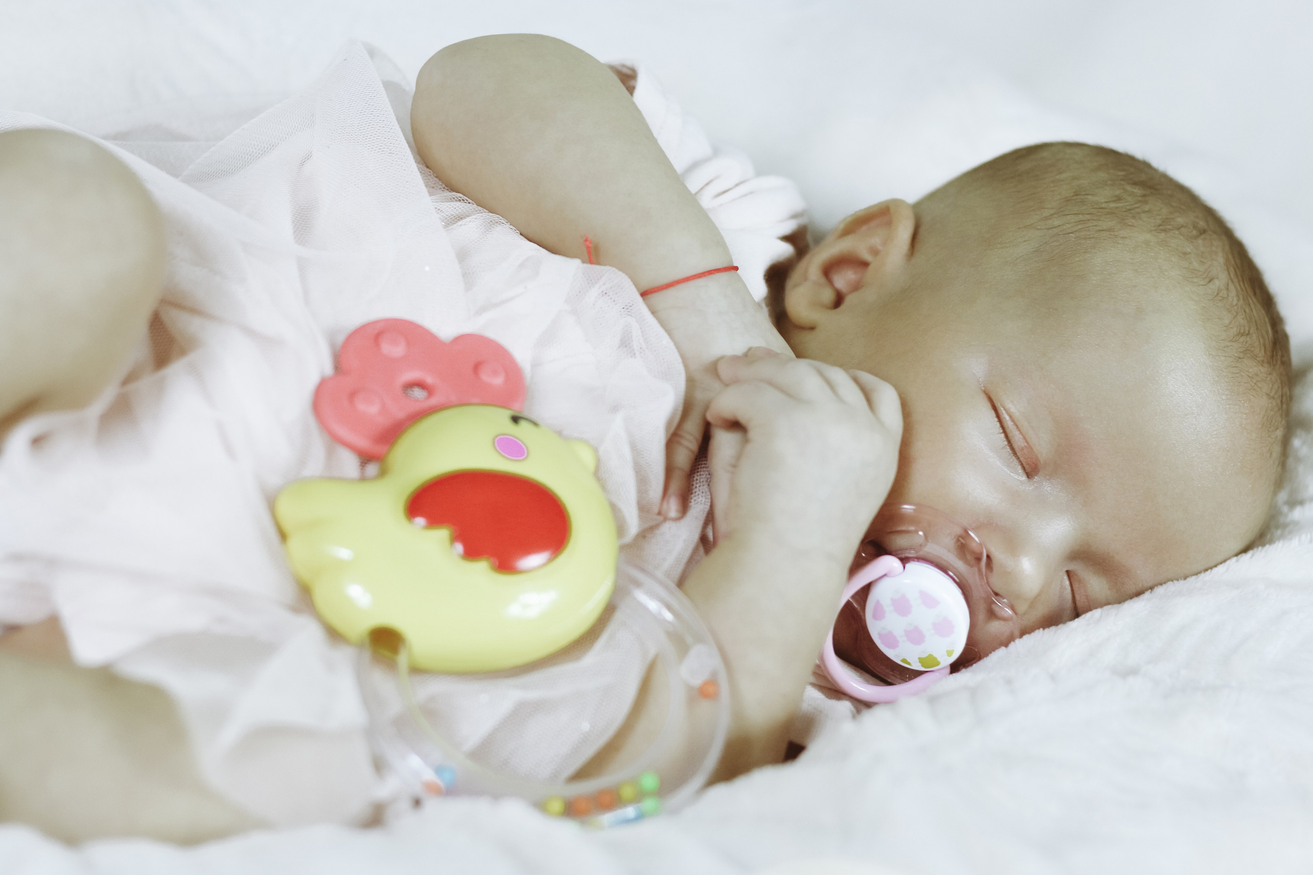 2 месяца. Алиса Томшина — Фотограф / Видеограф