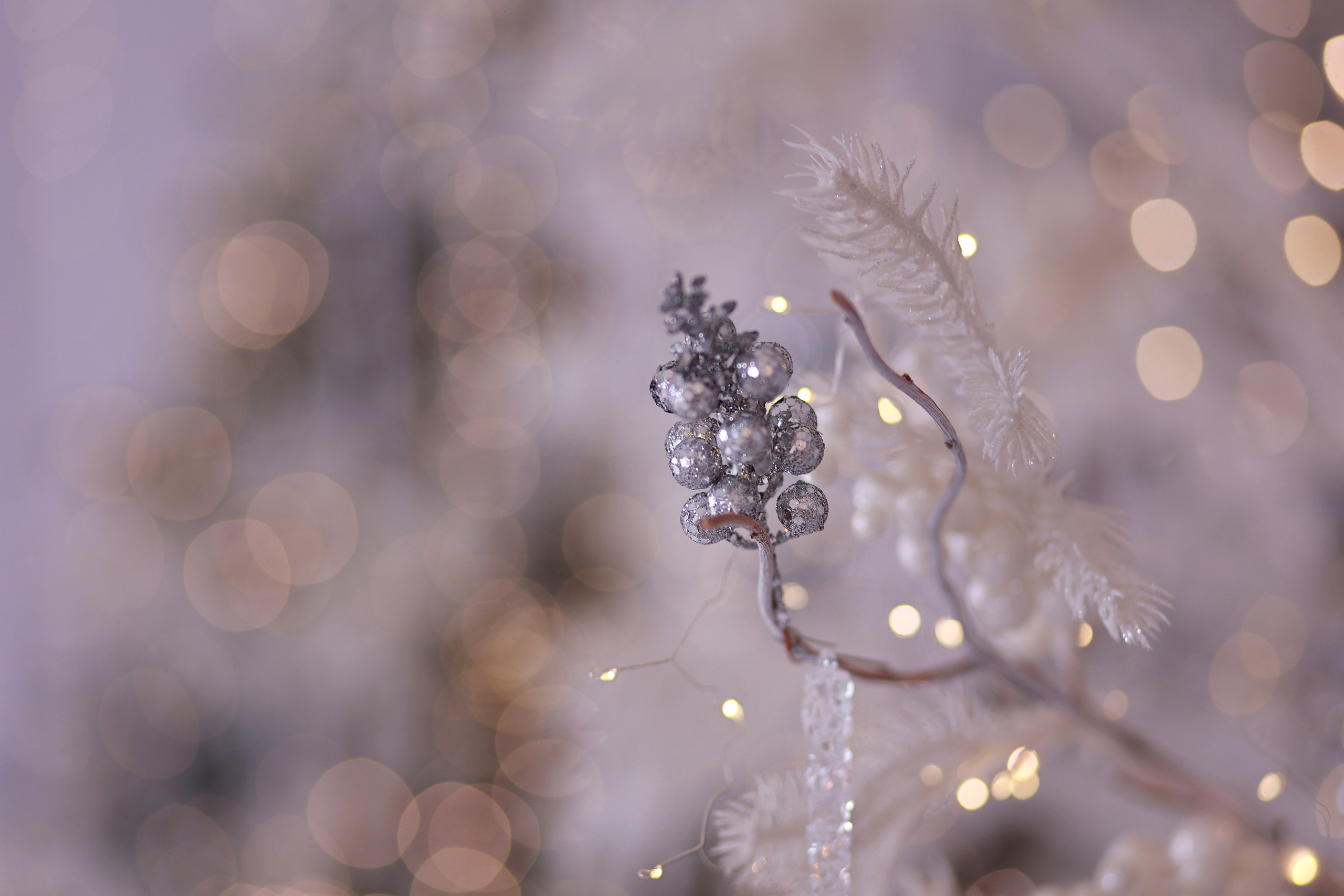 Alice. Детский семейный фотограф Краснодар