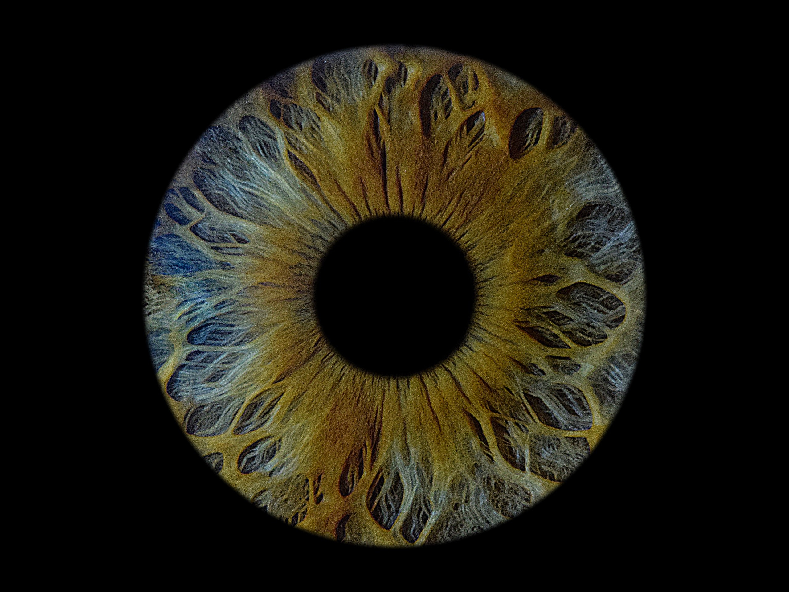 Портфолио. EYEtob | Фотография радужной оболочки | Тобольск