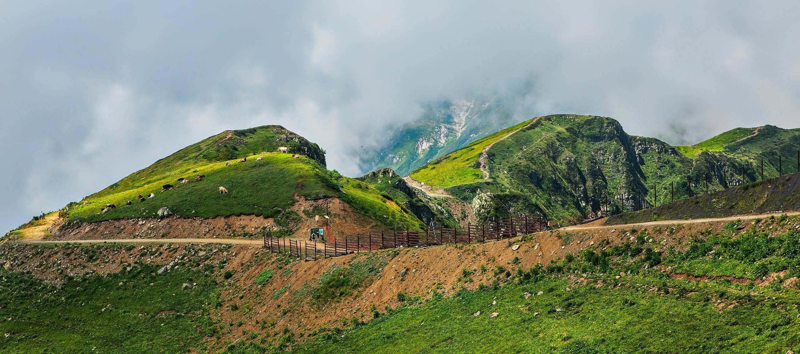 Сочинский биосферный заповедник, Пейзаж, Алексей Касаткин, Москва, SPC HM