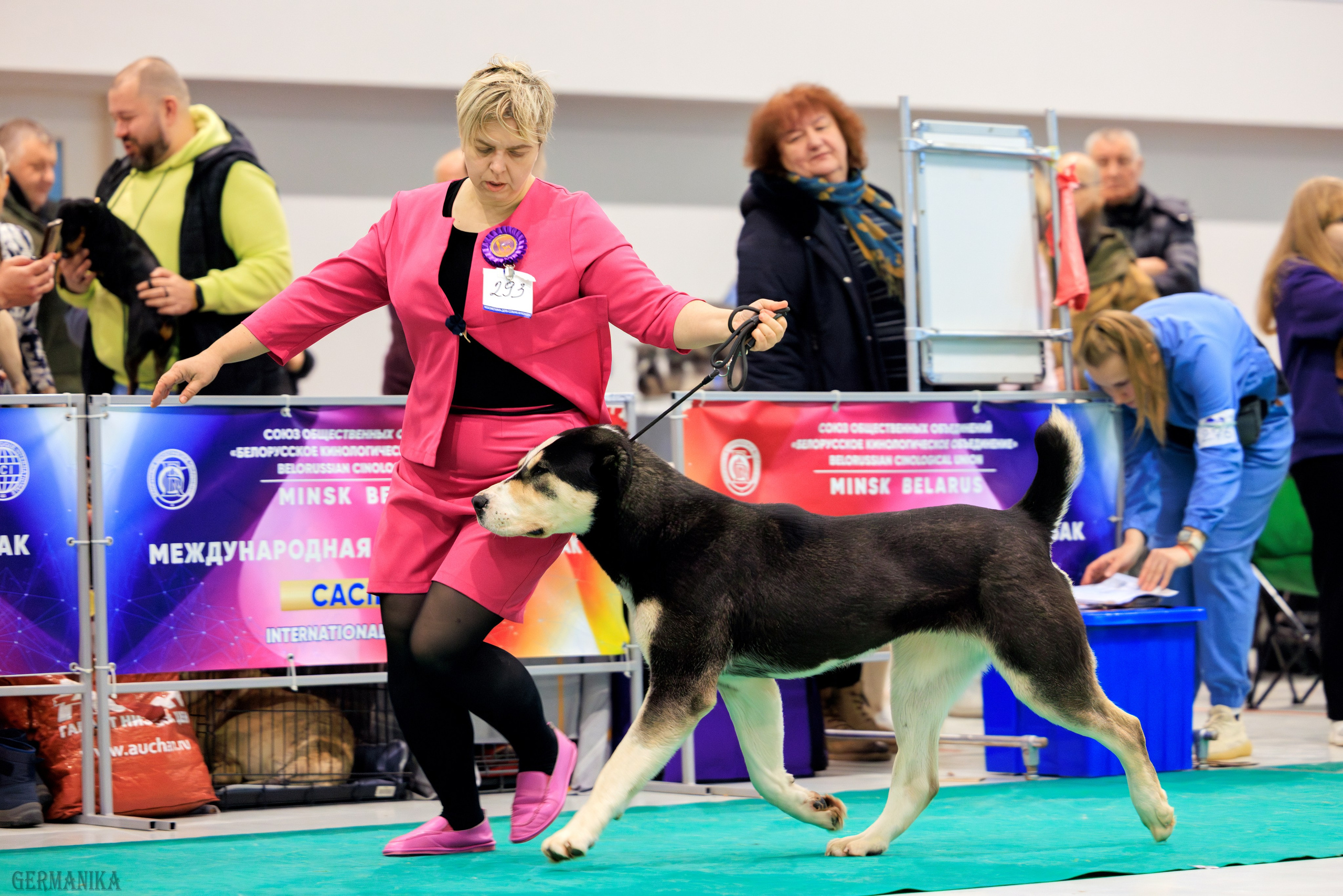 Минск 24-25.02.2024. Фотограф-анималист Юлия Германика