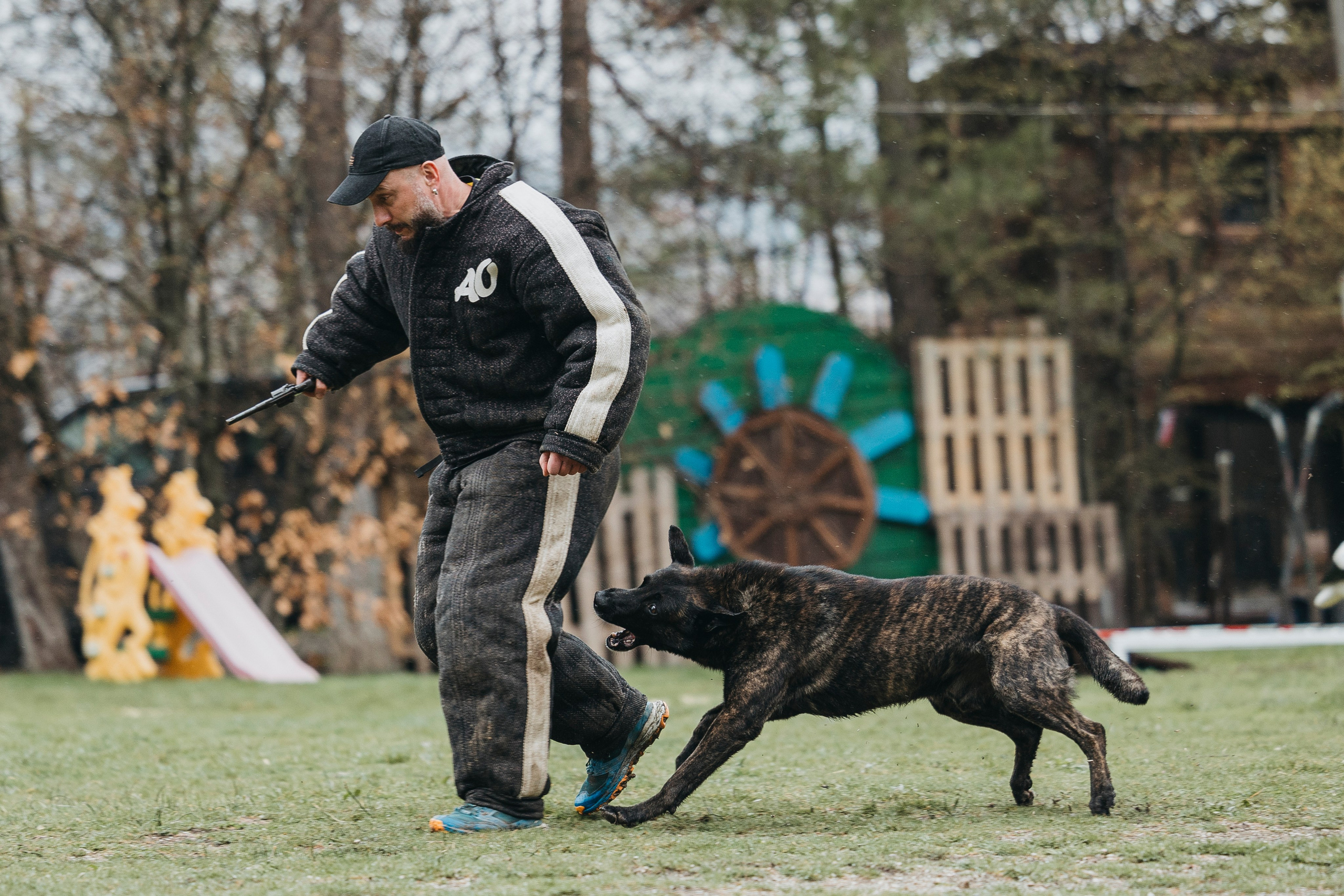 Геленджик Мондьоринг. Фотограф-анималист Анна Маринич