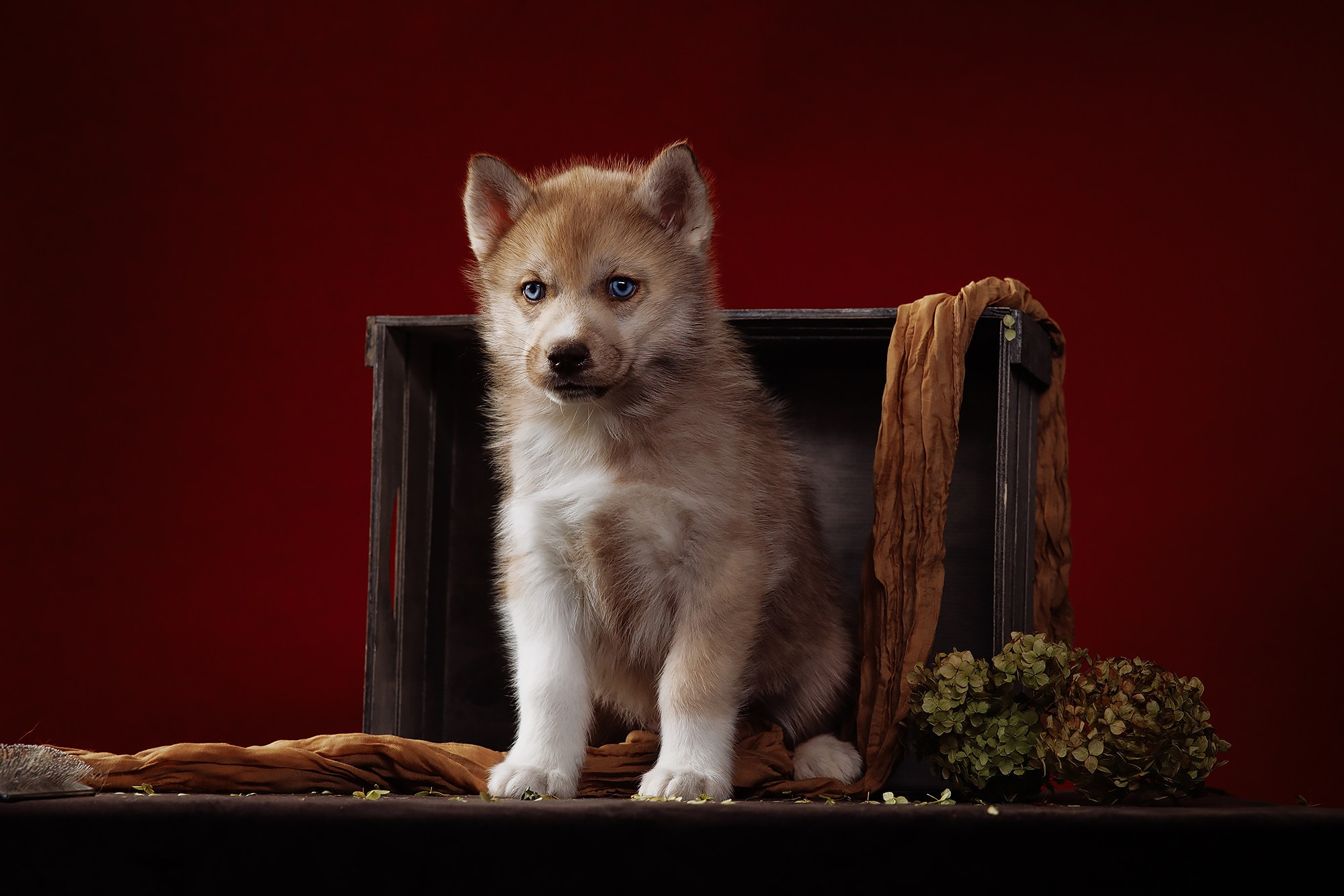 BABY TIME. Фотограф-анималист Саша Вязьмина