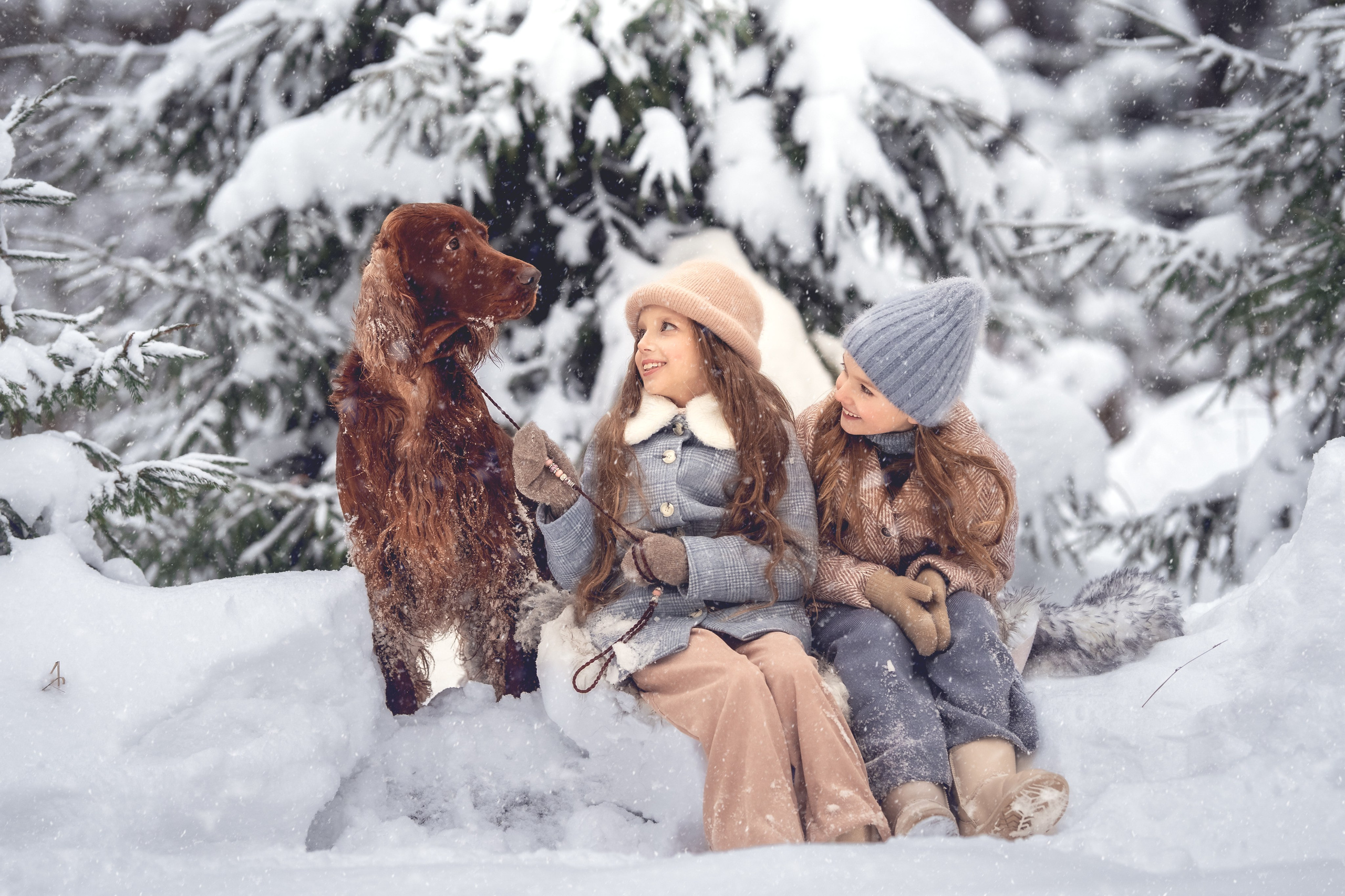 Дети. Фотограф Елена Буданова Тверь