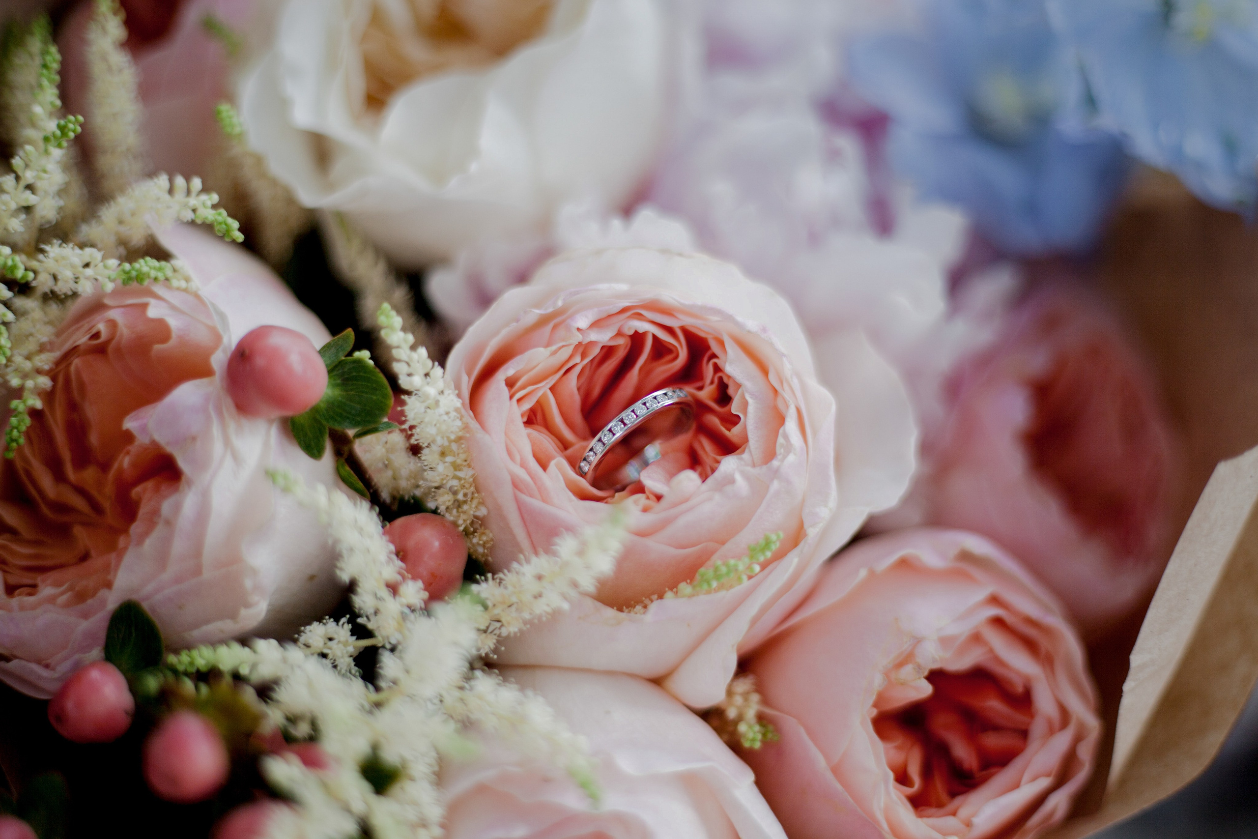 Владимир & Катерина 🤍. Портретный фотограф Александра Птица. Снимаю истории о вас