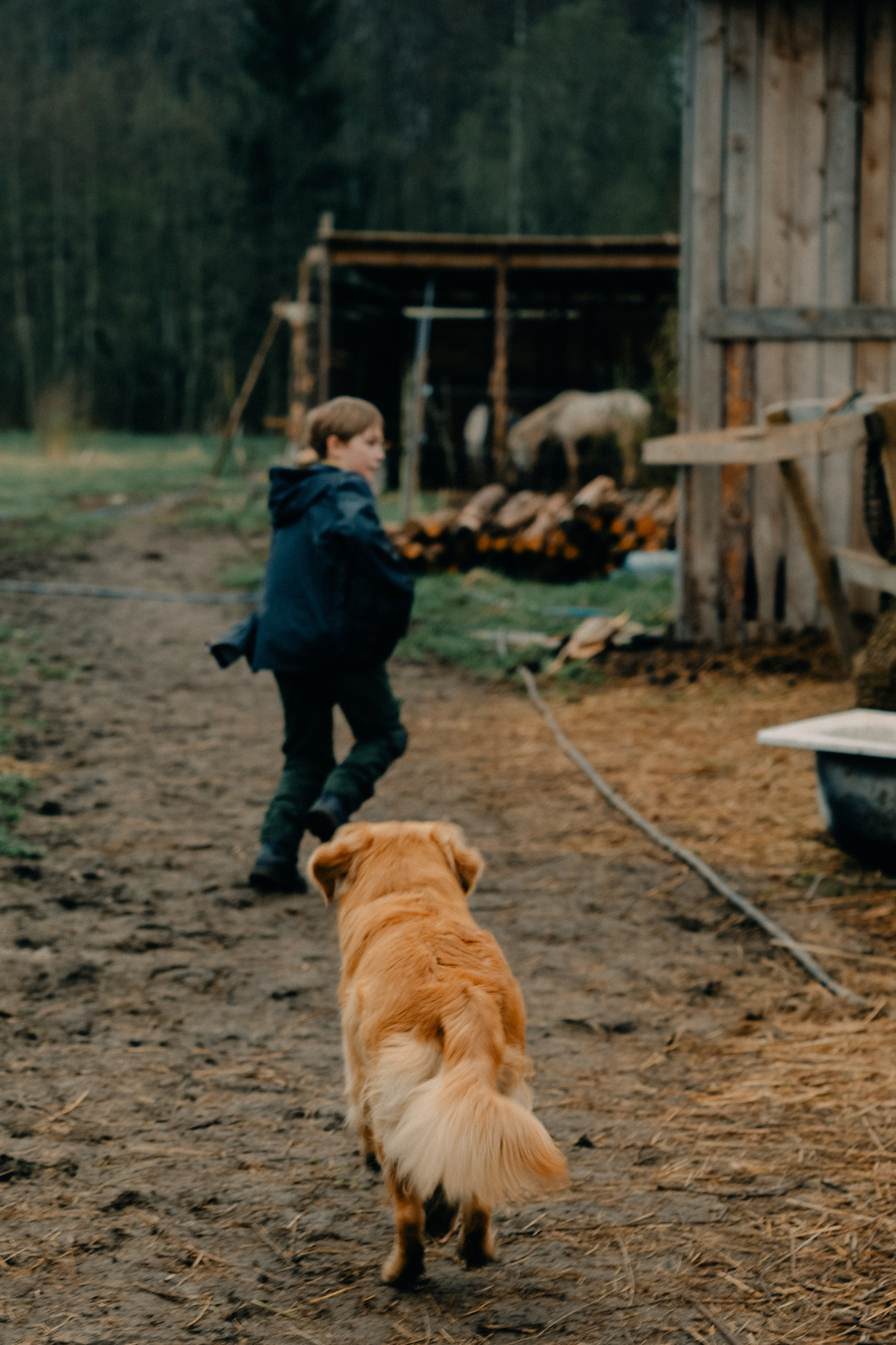 Зоопарк в моём багаже. Кошенкова Мария: портретный и репортажный фотограф. Санкт-Петербург