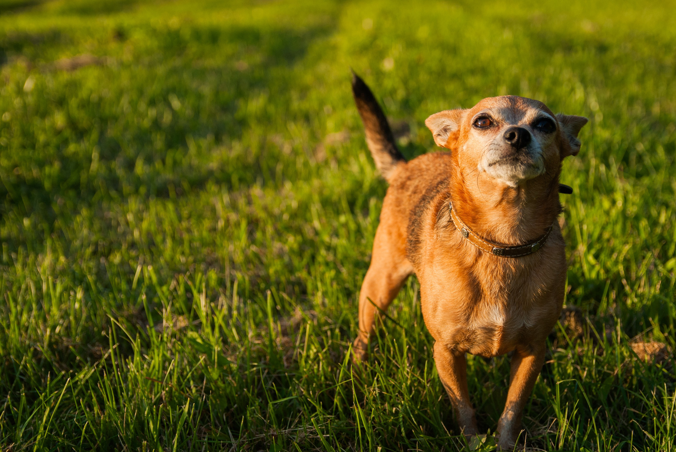 Зоопарк в моём багаже. Кошенкова Мария: портретный и репортажный фотограф. Санкт-Петербург