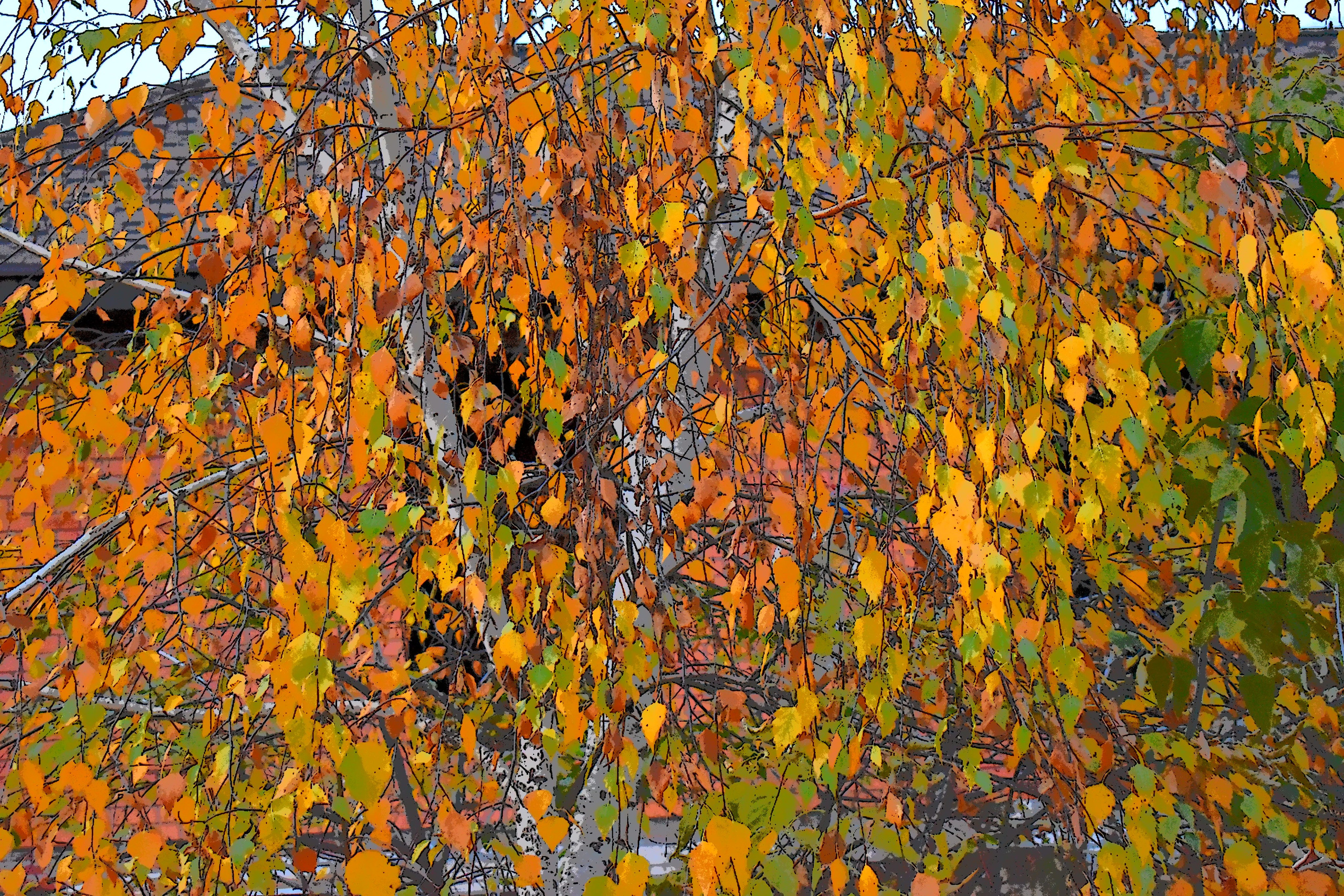 Все что тронуло, миниатюры. Созерцатель. фотографирую что тронуло и впечатлило. самарская область