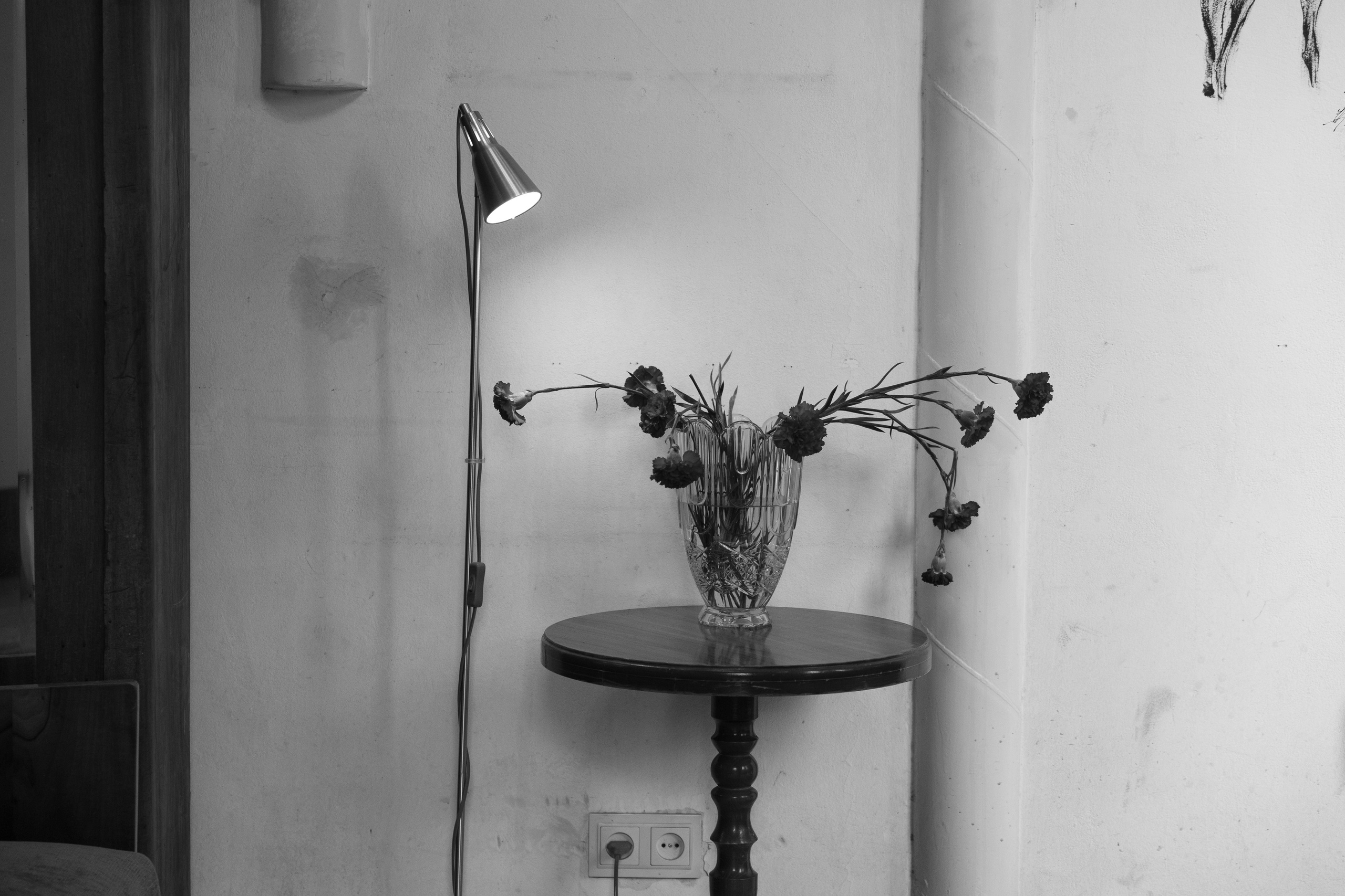 Art prints. Фотограф алина стерхова, алина стерхова фотограф, фотограф москва